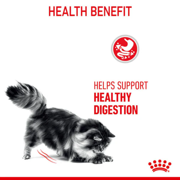 Royal Canin Digestive Care Adult Dry Cat Food - Image 5