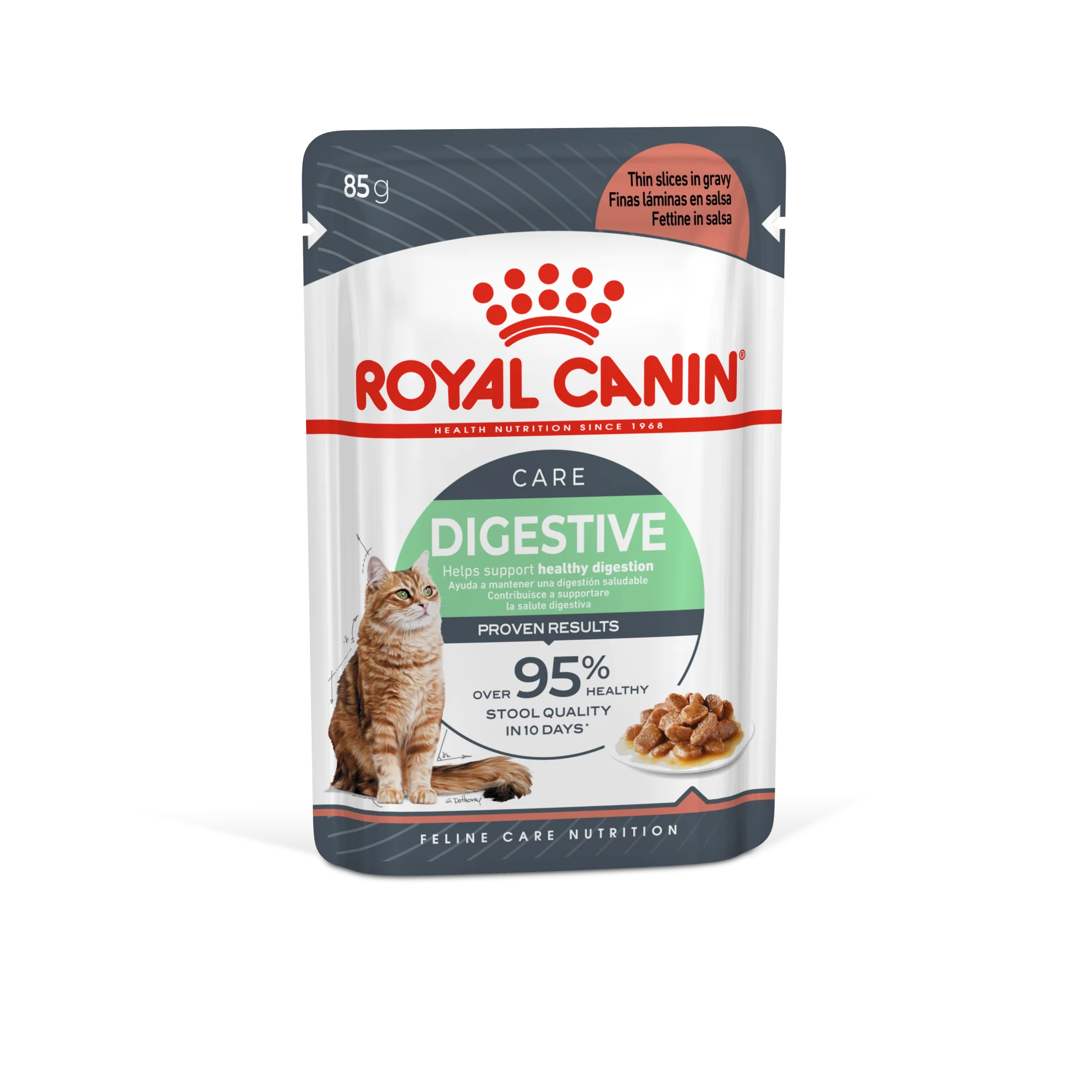 Royal Canin Digestive Care Adult Thin Slices in Gravy Wet Cat Food - Image 2