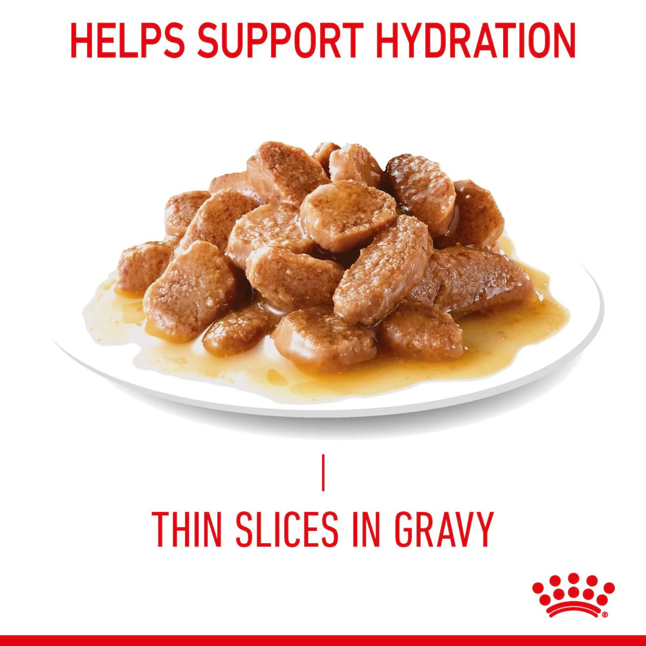 Royal Canin Digestive Care Adult Thin Slices in Gravy Wet Cat Food - Image 3