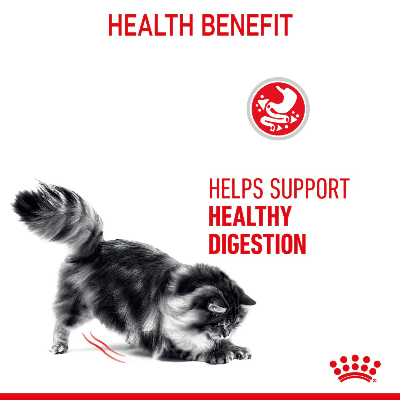 Royal Canin Digestive Care Adult Thin Slices in Gravy Wet Cat Food - Image 4