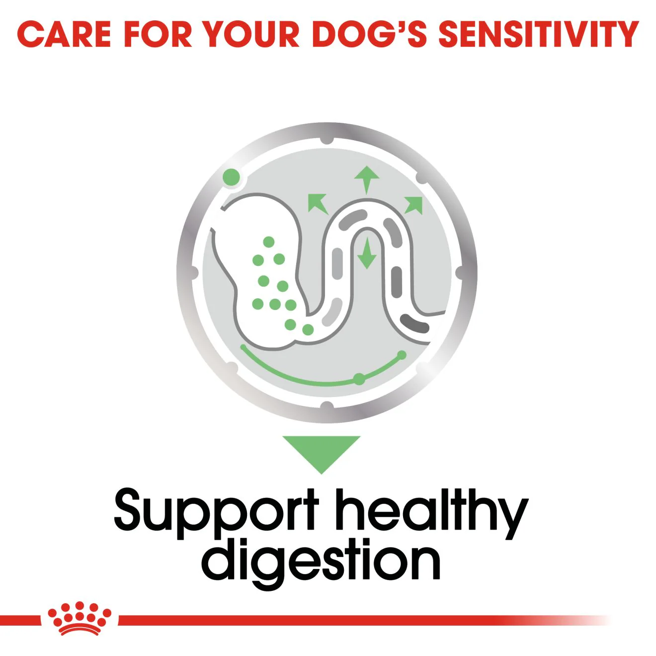 Royal Canin Digestive Care Adult Wet Dog Food - Image 5