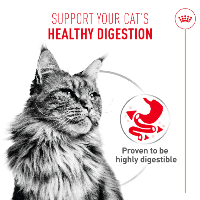 Royal Canin Digestive Care Airlift Mousse Adult Wet Cat Food - Image 3