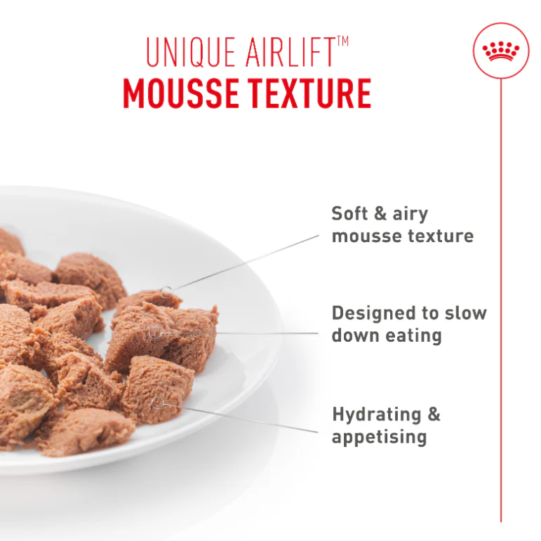 Royal Canin Digestive Care Airlift Mousse Adult Wet Cat Food - Image 4