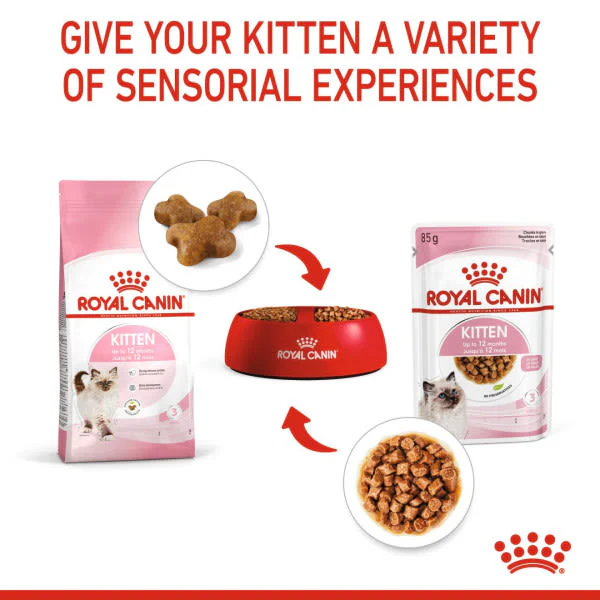 Royal Canin Feline Health Nutrition in Gravy Kitten Wet Cat Food - Image 7