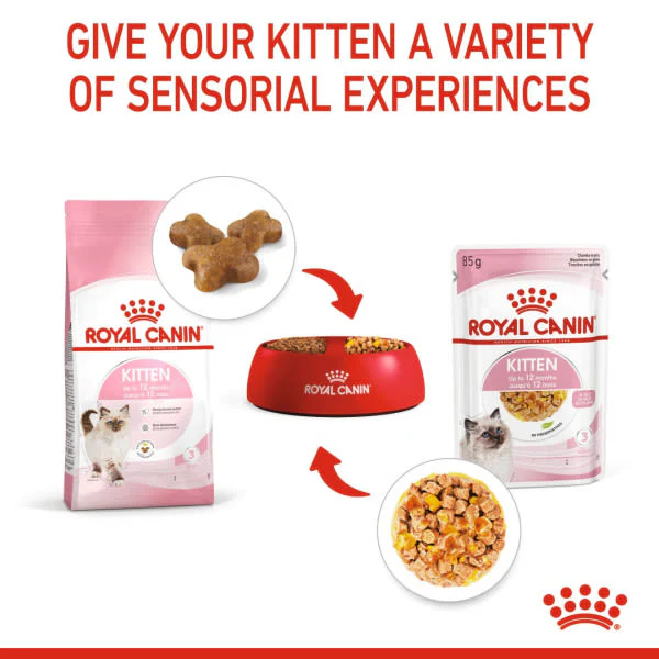 Royal Canin Feline Health Nutrition Instinctive in Jelly Kitten Wet Cat Food - Image 6