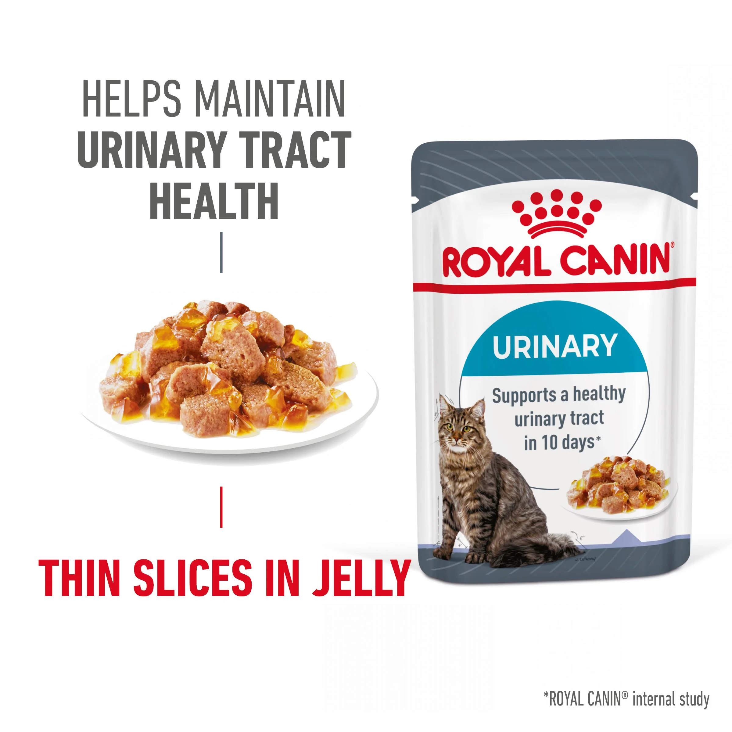Royal Canin Feline Health Nutrition Urinary Care in Jelly Wet Cat Food - Image 2