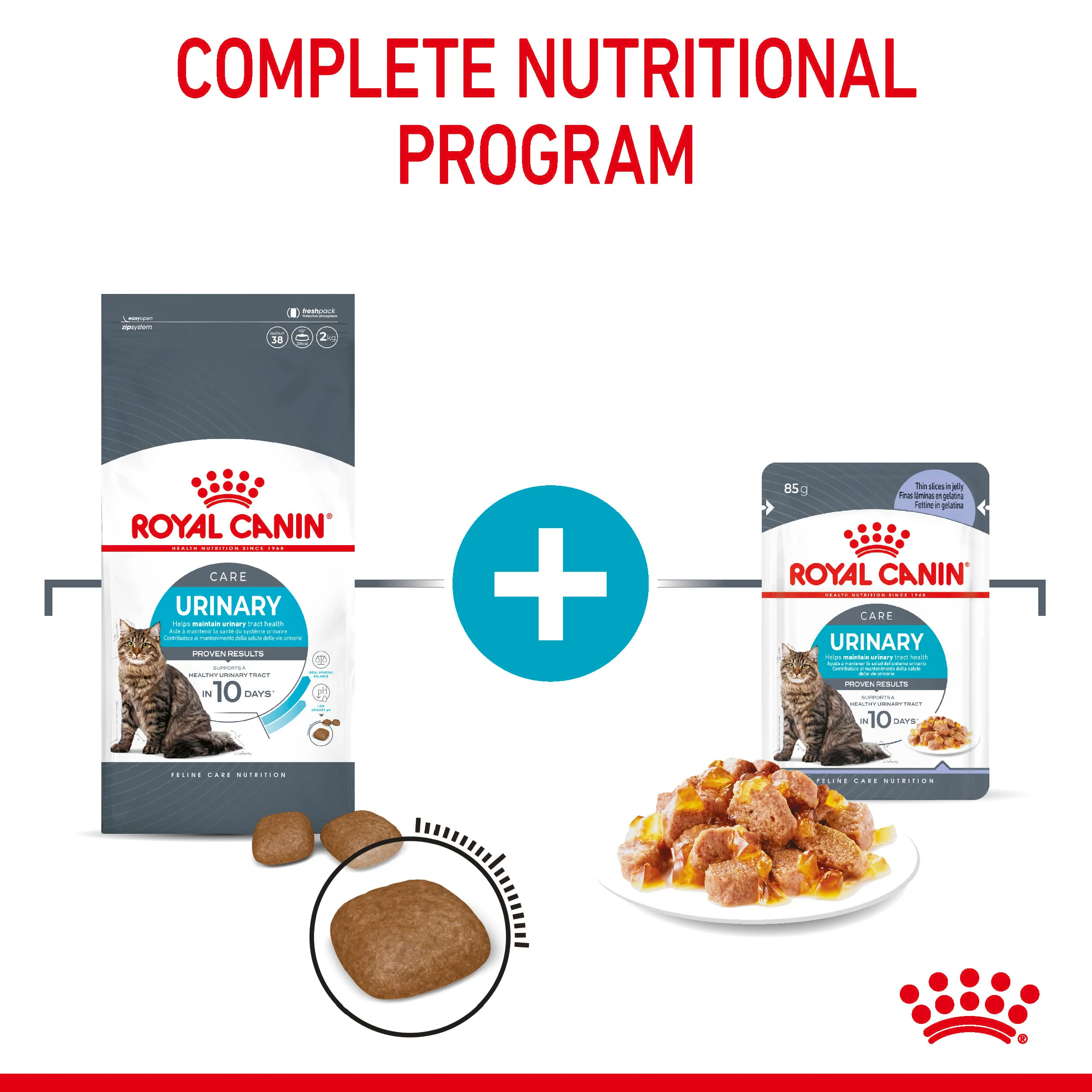 Royal Canin Feline Health Nutrition Urinary Care in Jelly Wet Cat Food - Image 4