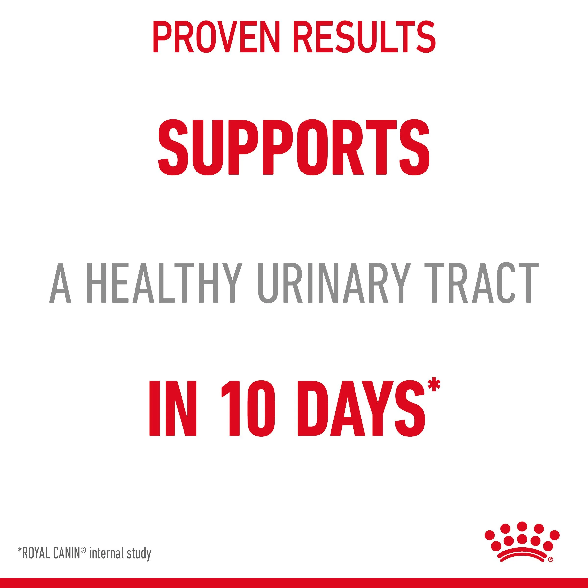 Royal Canin Feline Health Nutrition Urinary Care in Jelly Wet Cat Food - Image 8
