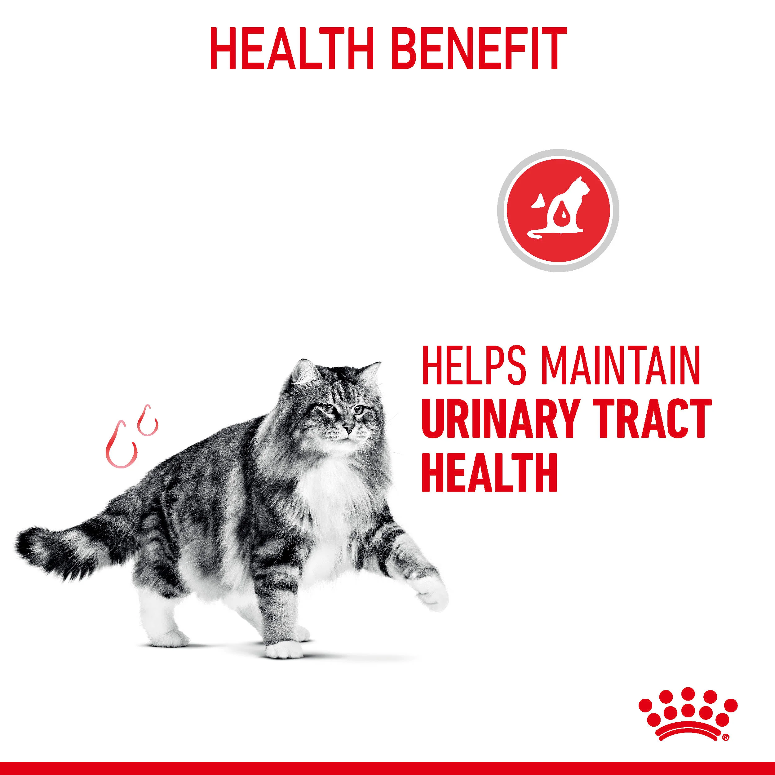 Royal Canin Feline Health Nutrition Urinary Care in Jelly Wet Cat Food - Image 9