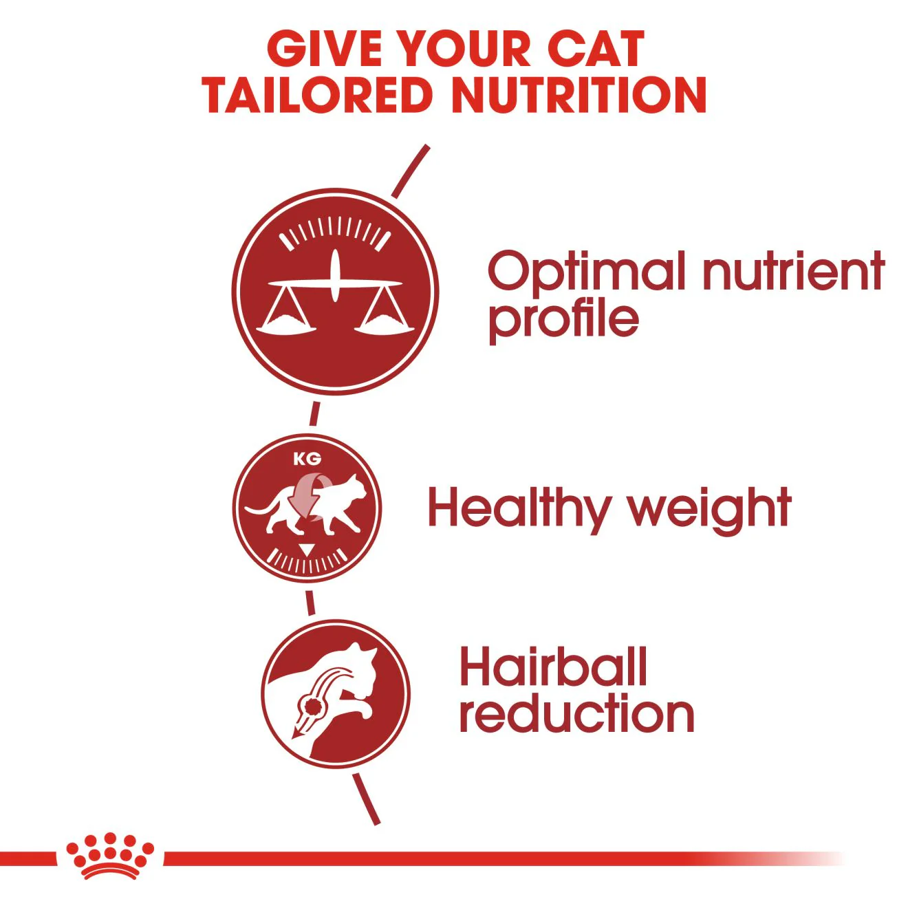 Royal Canin Fit 32 Adult Dry Cat Food - Image 3