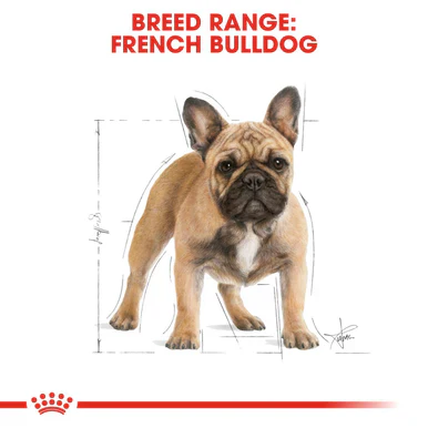 Royal Canin French Bulldog Adult Dry Dog Food - Image 7