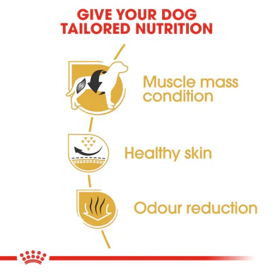 Royal Canin French Bulldog Adult Dry Dog Food - Image 8