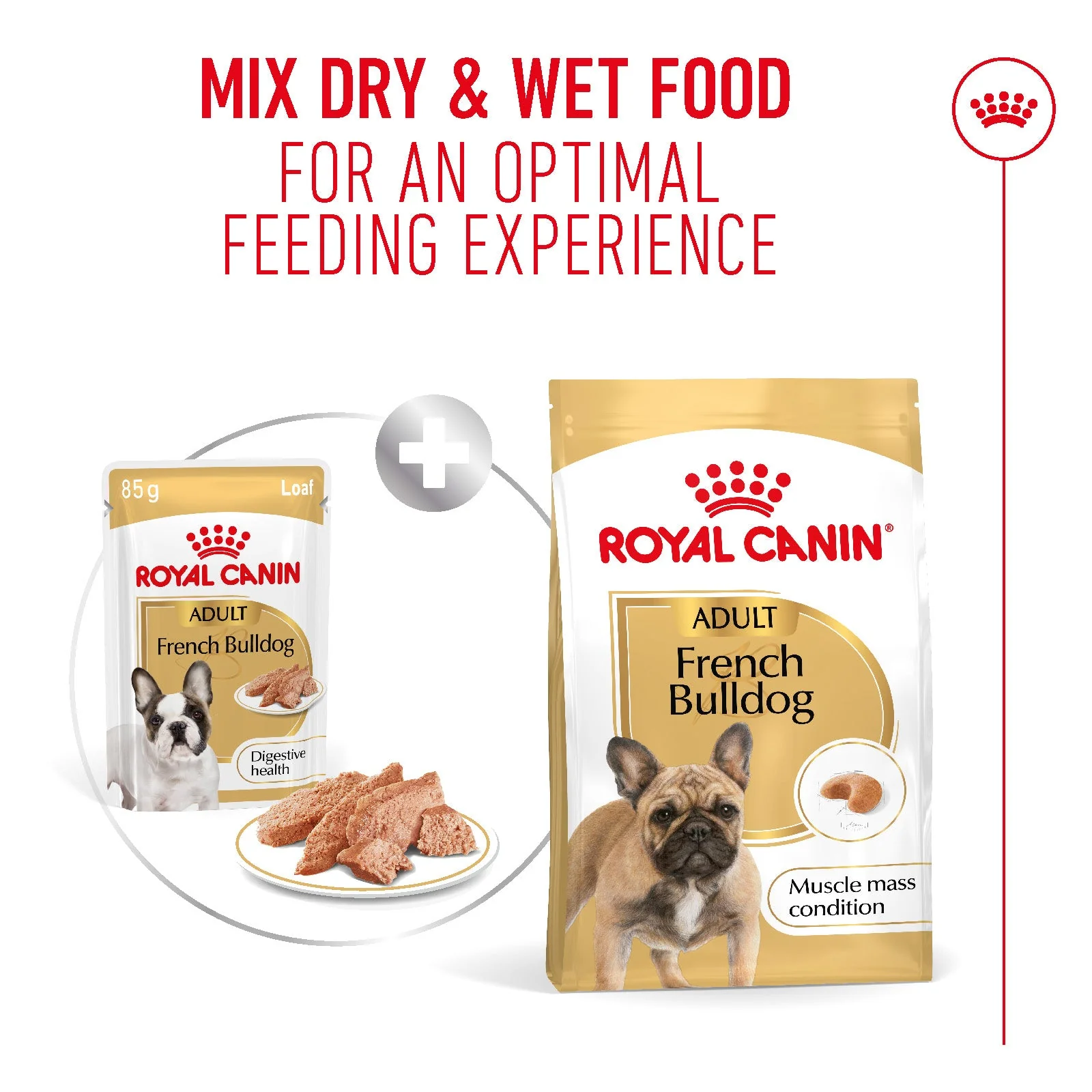 Royal Canin French Bulldog Adult Wet Dog Food - Image 4