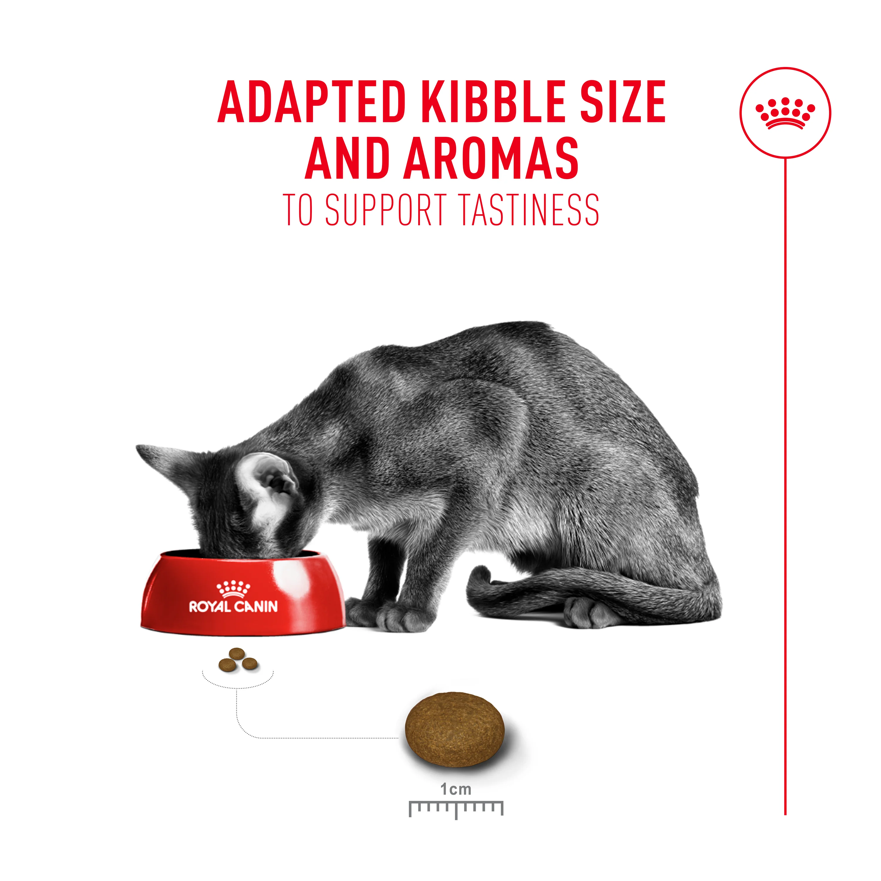 Royal Canin Fussy Adult Dry Cat Food - Image 3