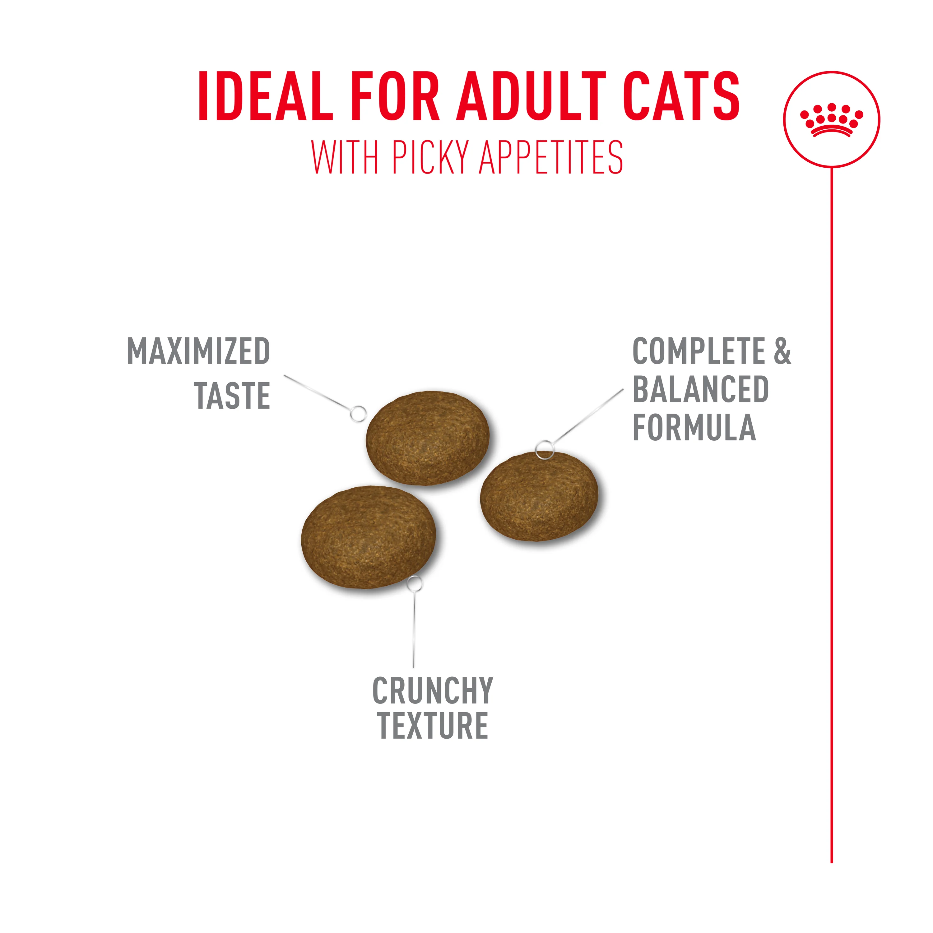 Royal Canin Fussy Adult Dry Cat Food - Image 5