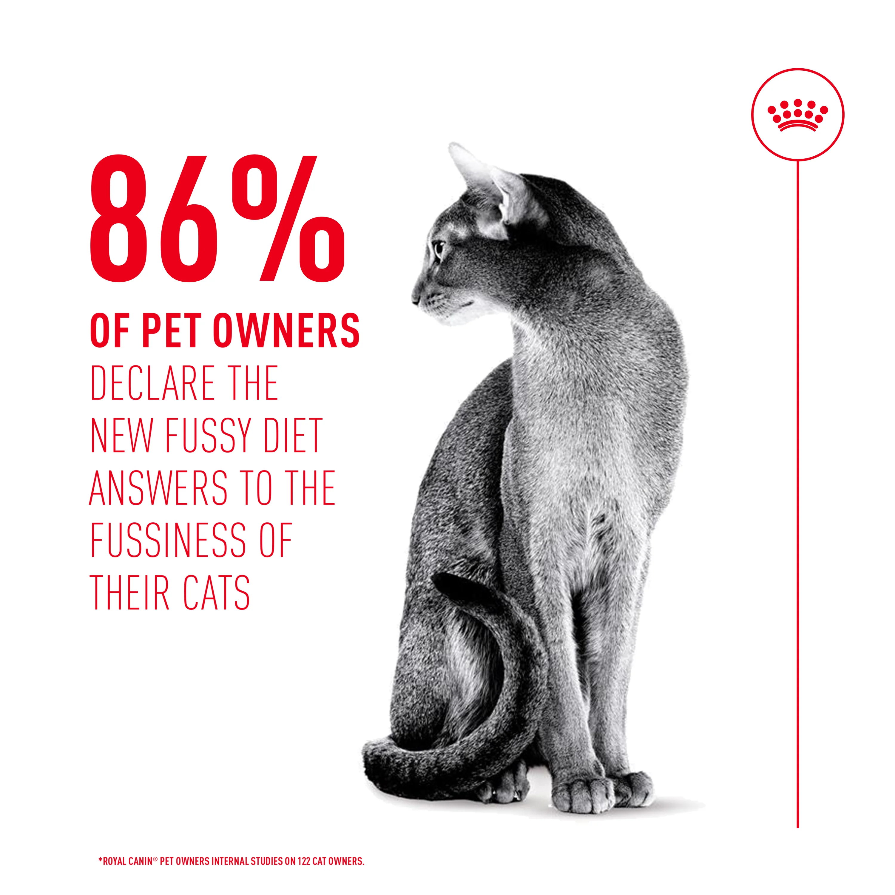 Royal Canin Fussy Adult Dry Cat Food - Image 6
