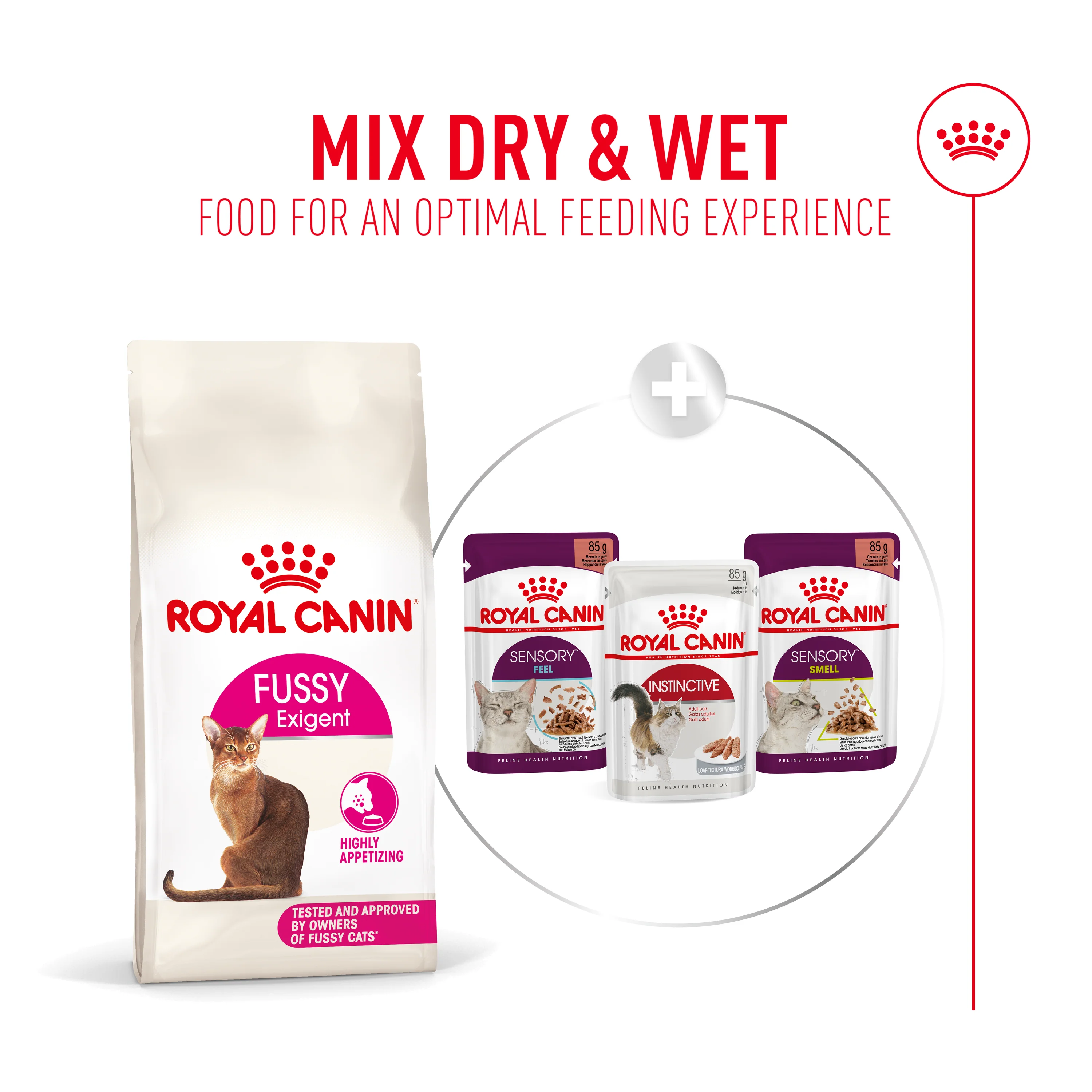 Royal Canin Fussy Adult Dry Cat Food - Image 8