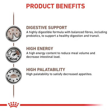 Royal Canin Gastrointestinal Adult Wet Dog Food - Image 6