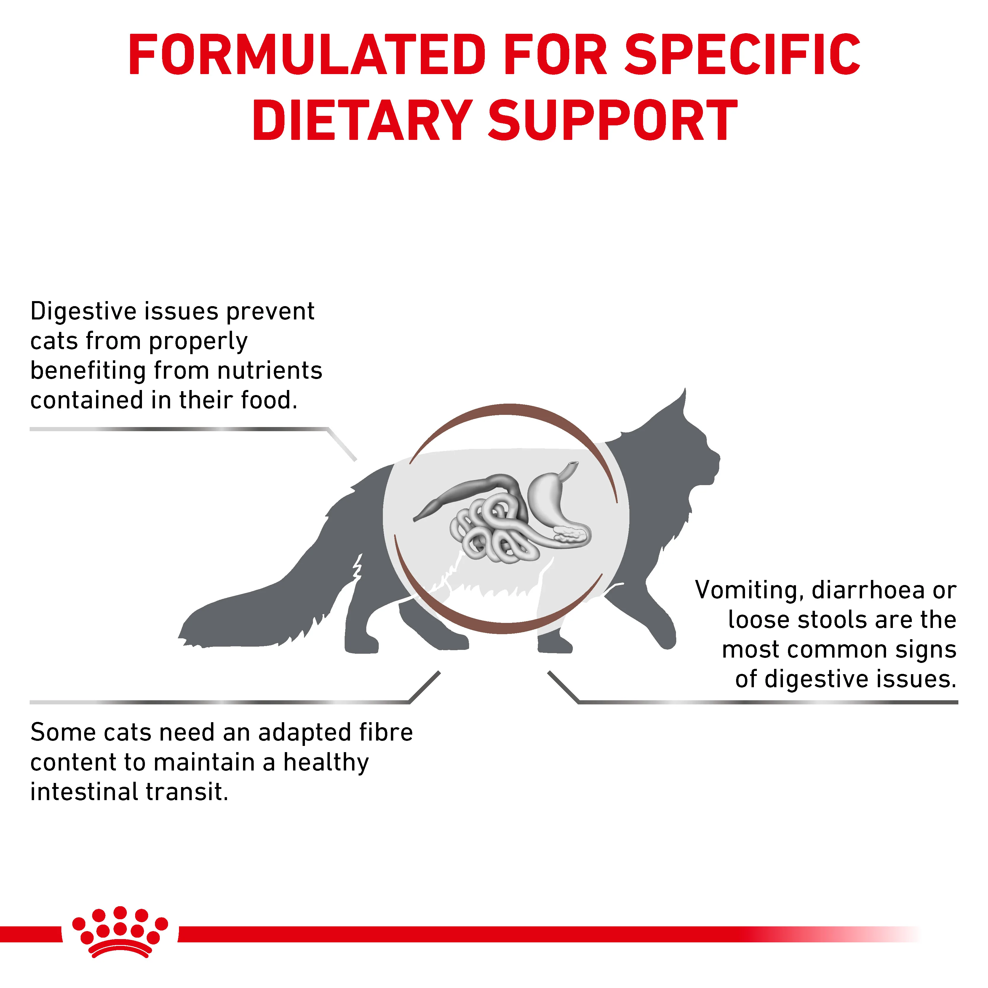 Royal Canin Gastrointestinal Fibre Response Thin Slices in Gravy Adult Wet Cat Food 12 x 85g - Image 3