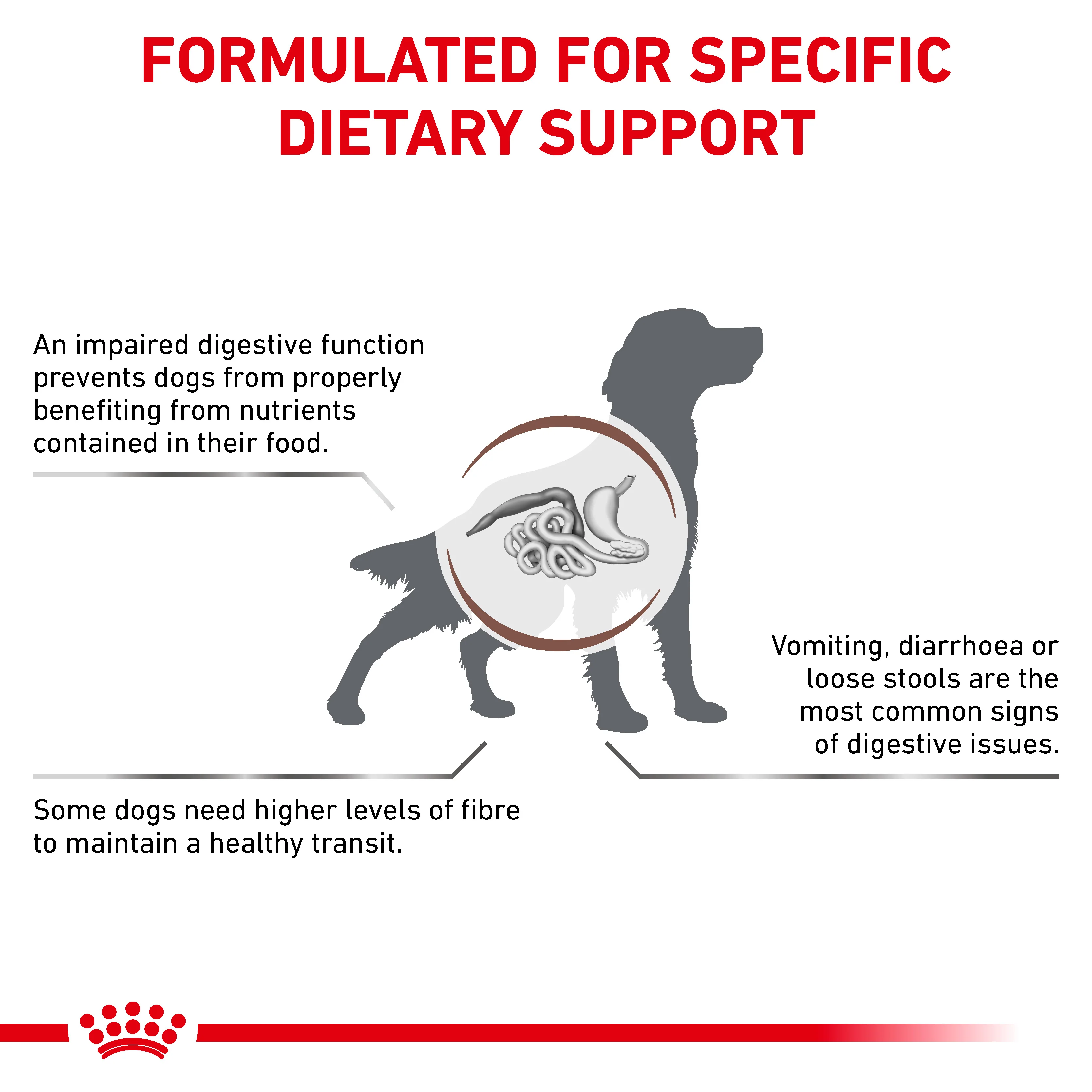 Royal Canin Gastrointestinal High Fibre Adult Dry Dog Food - Image 2