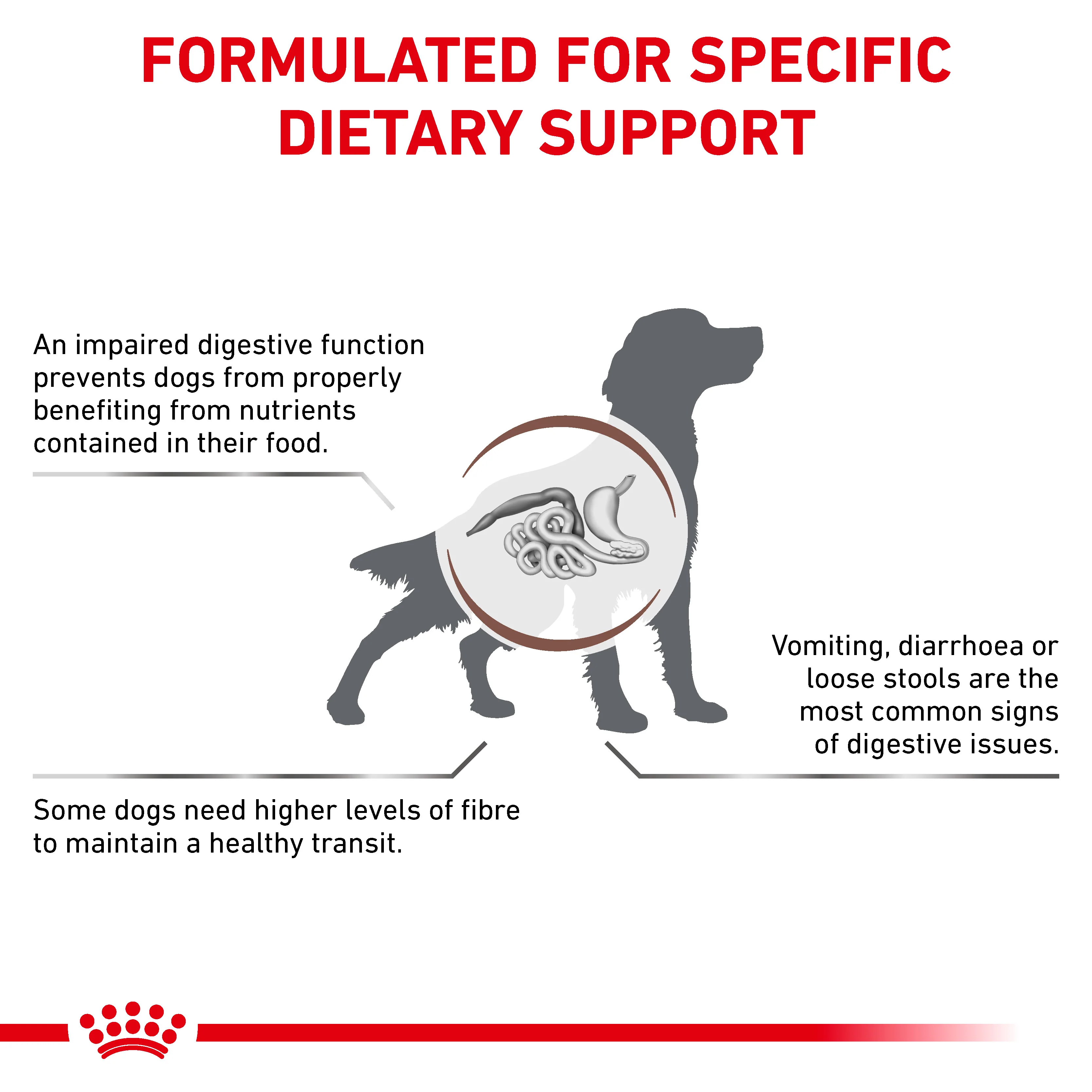 Royal Canin Gastrointestinal High Fibre Loaf Adult Wet Dog Food 12 x 410g - Image 6