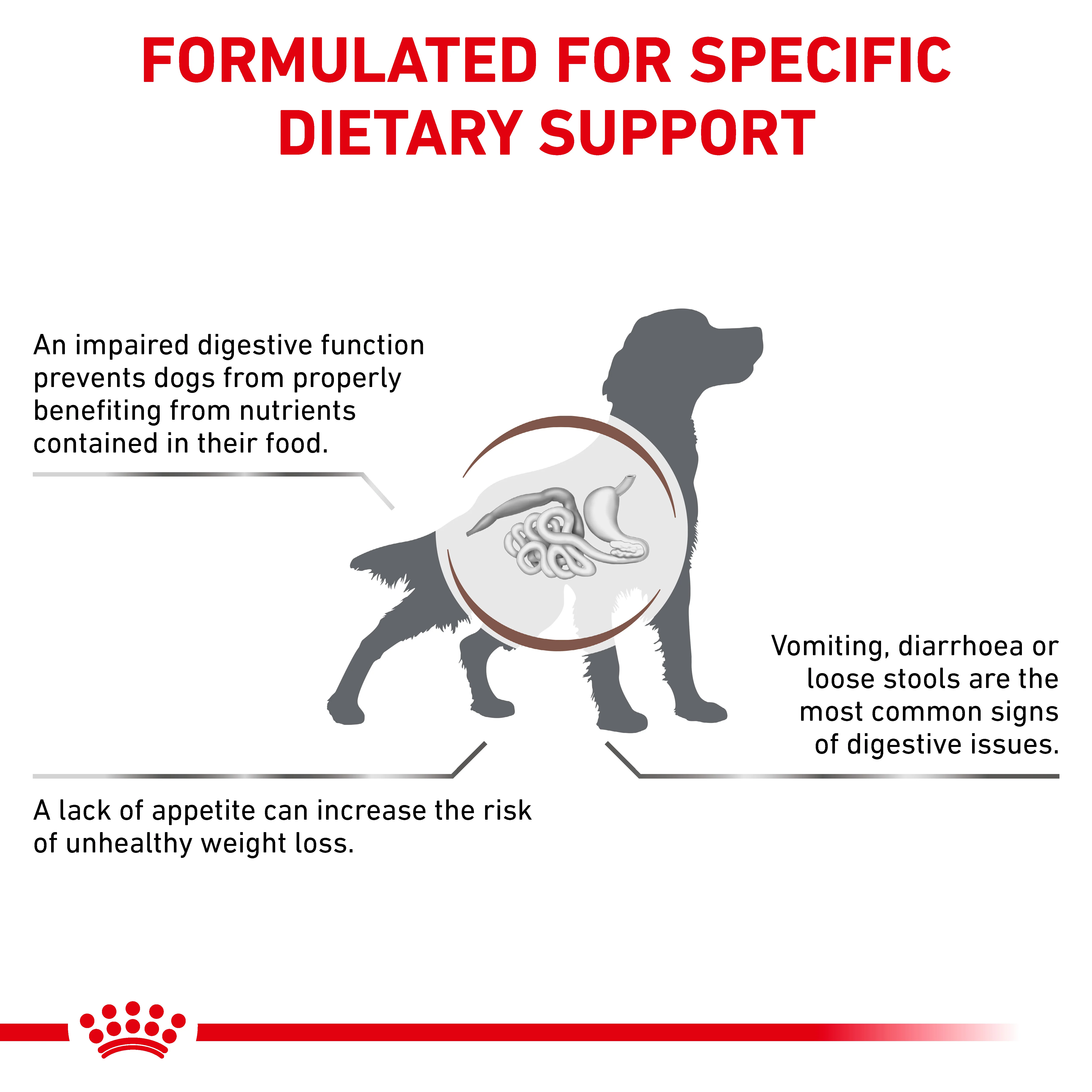 Royal Canin Gastrointestinal Adult Dry Dog Food - Image 2