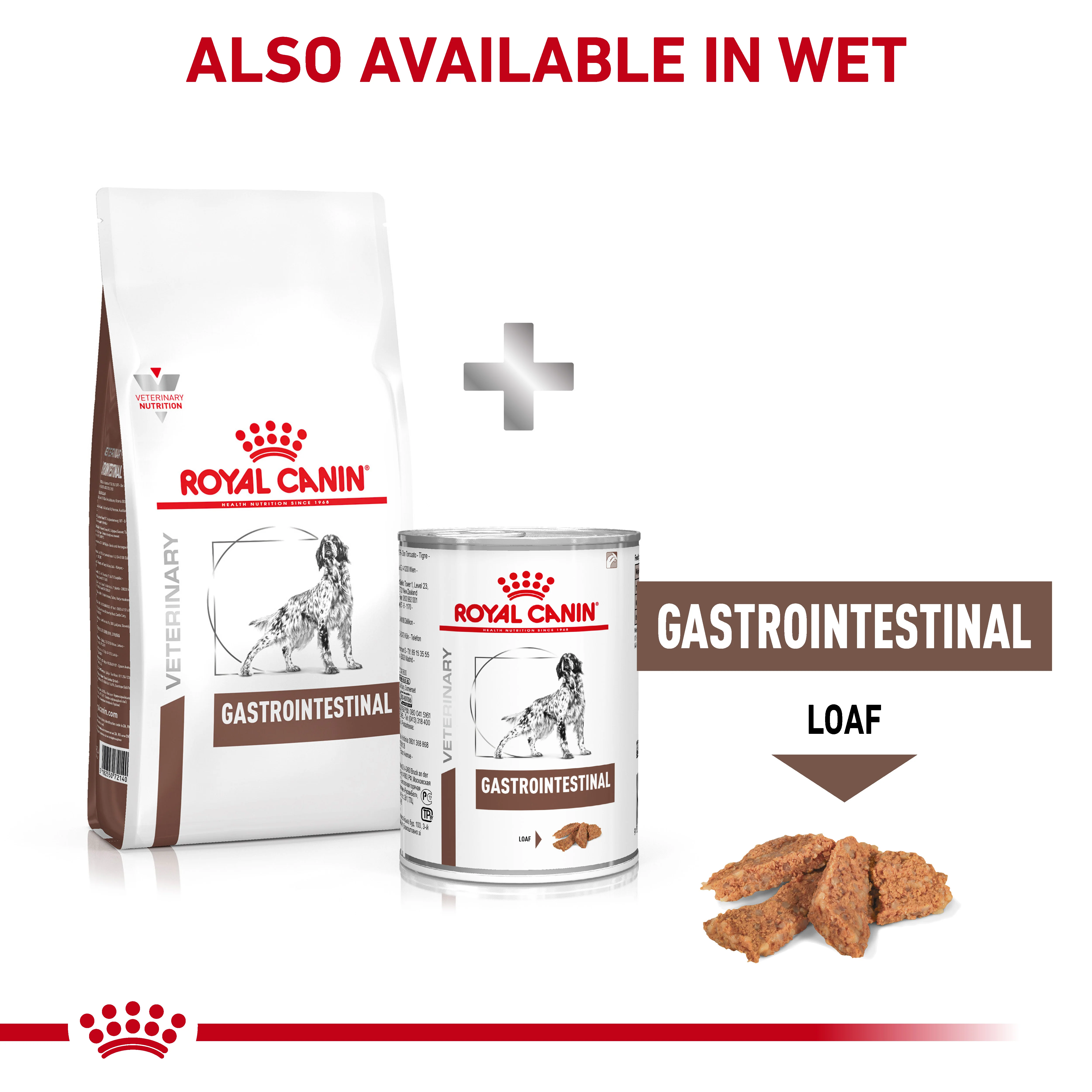 Royal Canin Gastrointestinal Adult Dry Dog Food - Image 7