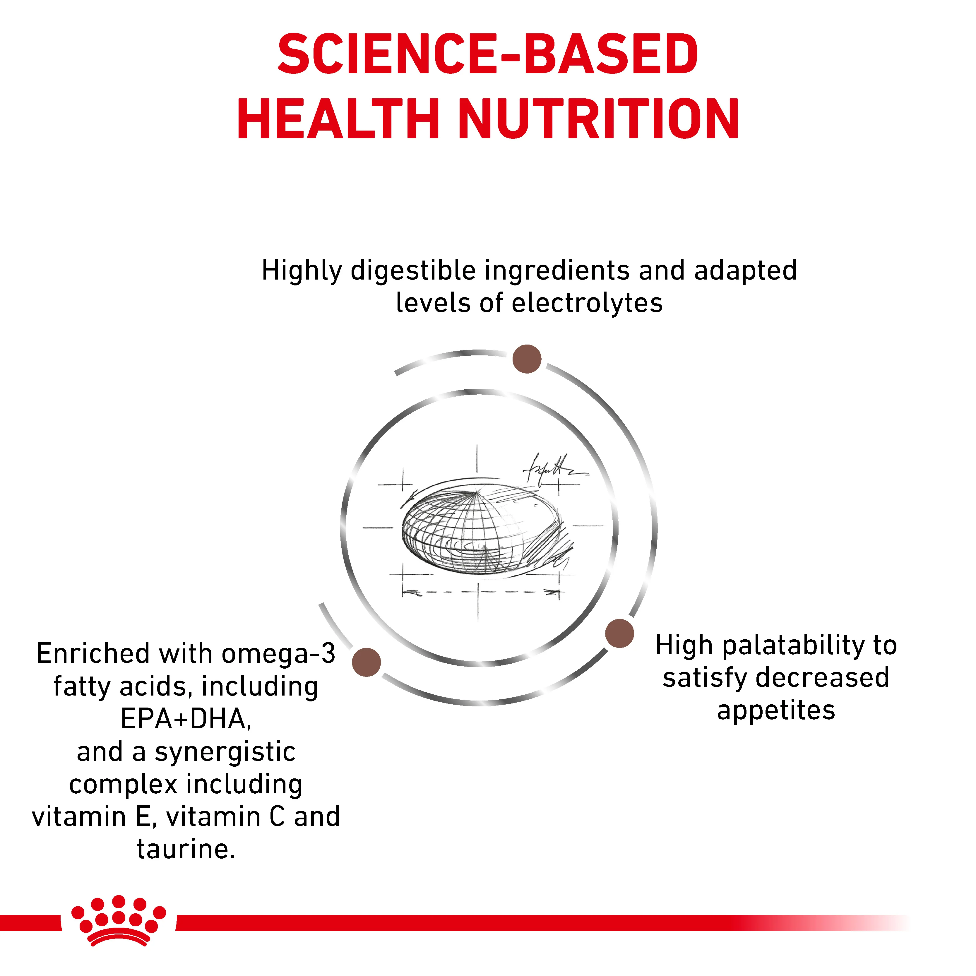 Royal Canin Gastrointestinal Moderate Calorie Adult Dry Dog Food - Image 3