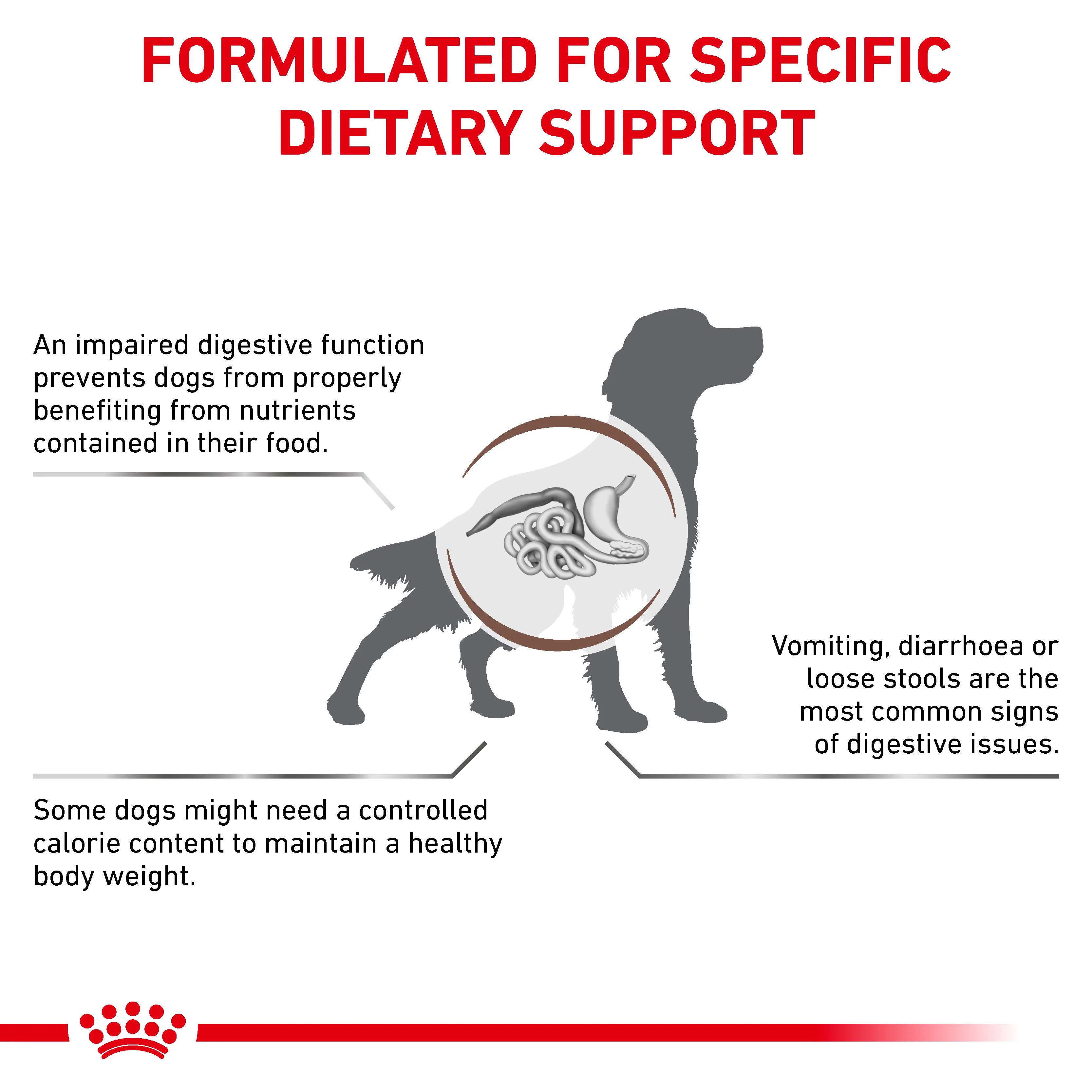 Royal Canin Gastrointestinal Moderate Calorie Adult Dry Dog Food - Image 2