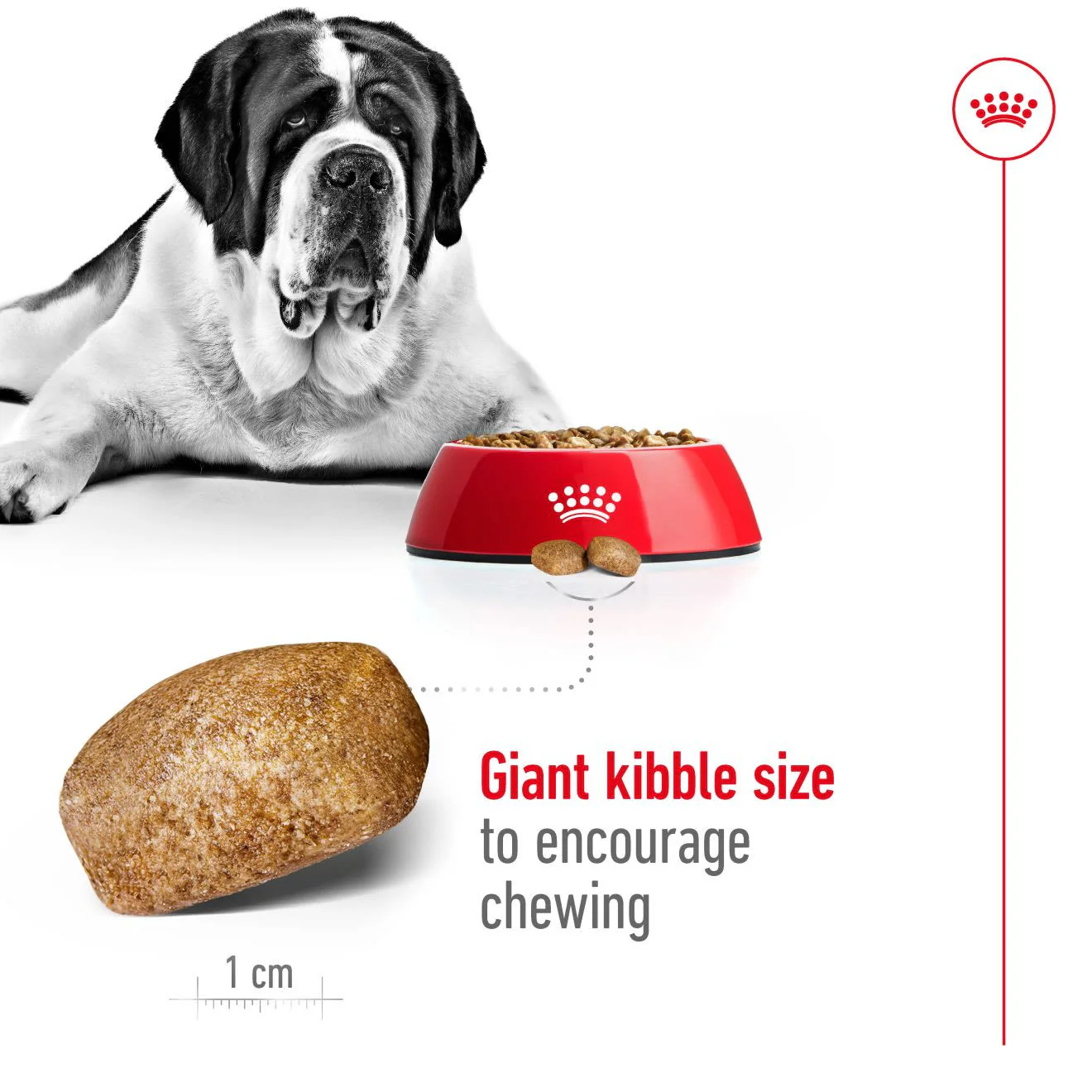 Royal Canin Giant Adult Dry Dog Food - Image 3
