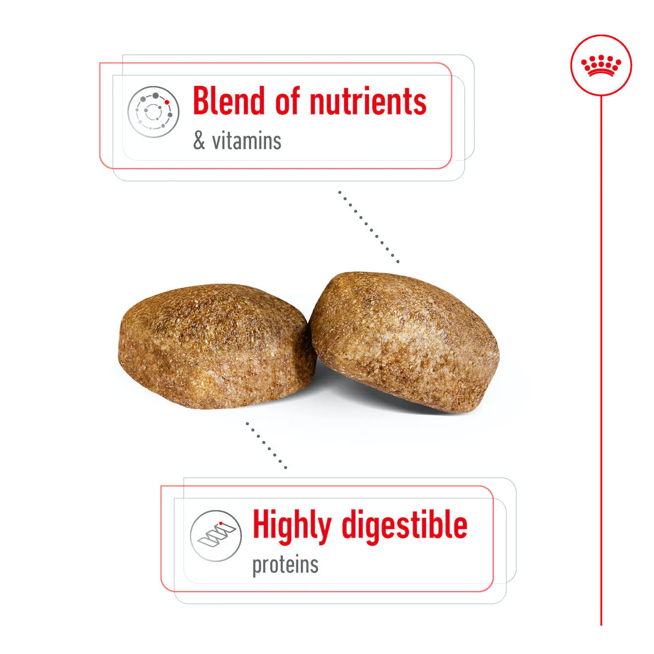 Royal Canin Giant Adult Dry Dog Food - Image 6
