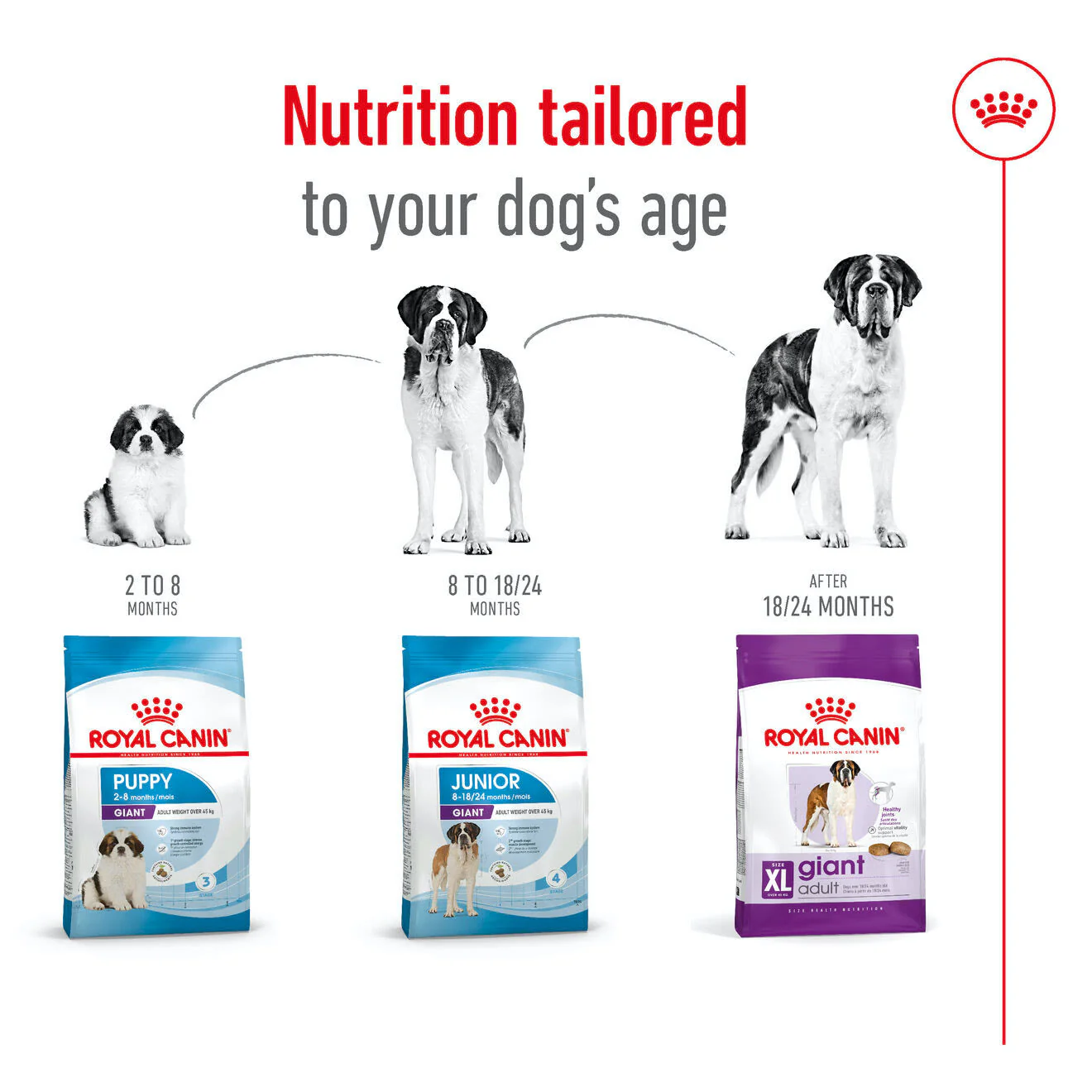 Royal Canin Giant Adult Dry Dog Food - Image 7