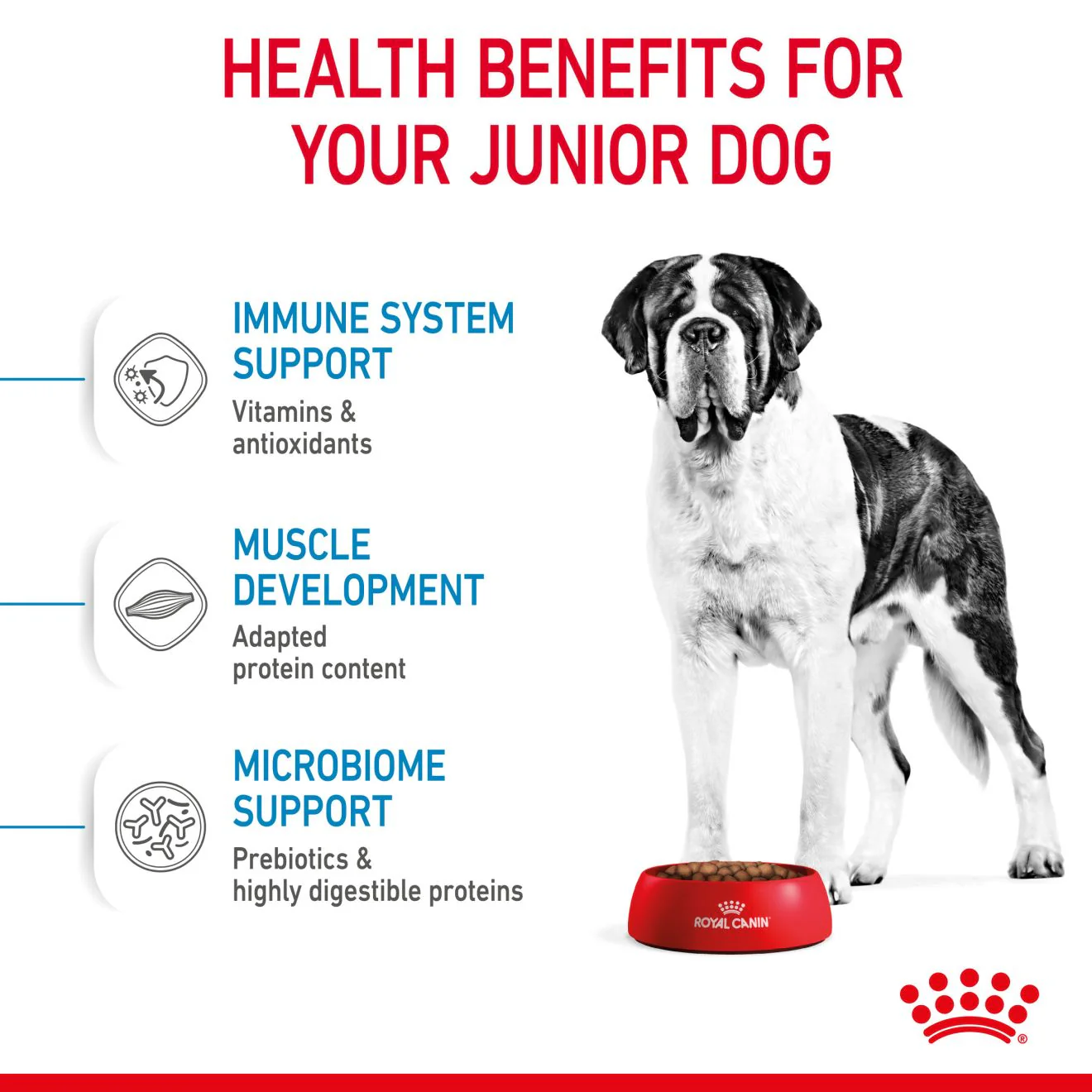 Royal Canin Giant Junior Dry Dog Food - Image 4