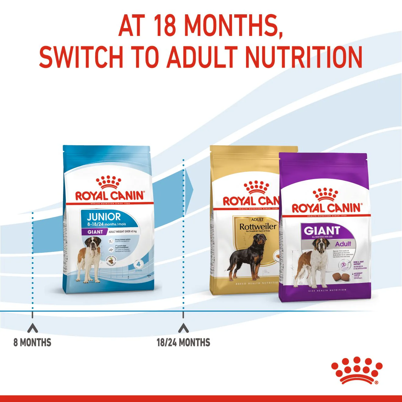Royal Canin Giant Junior Dry Dog Food - Image 5