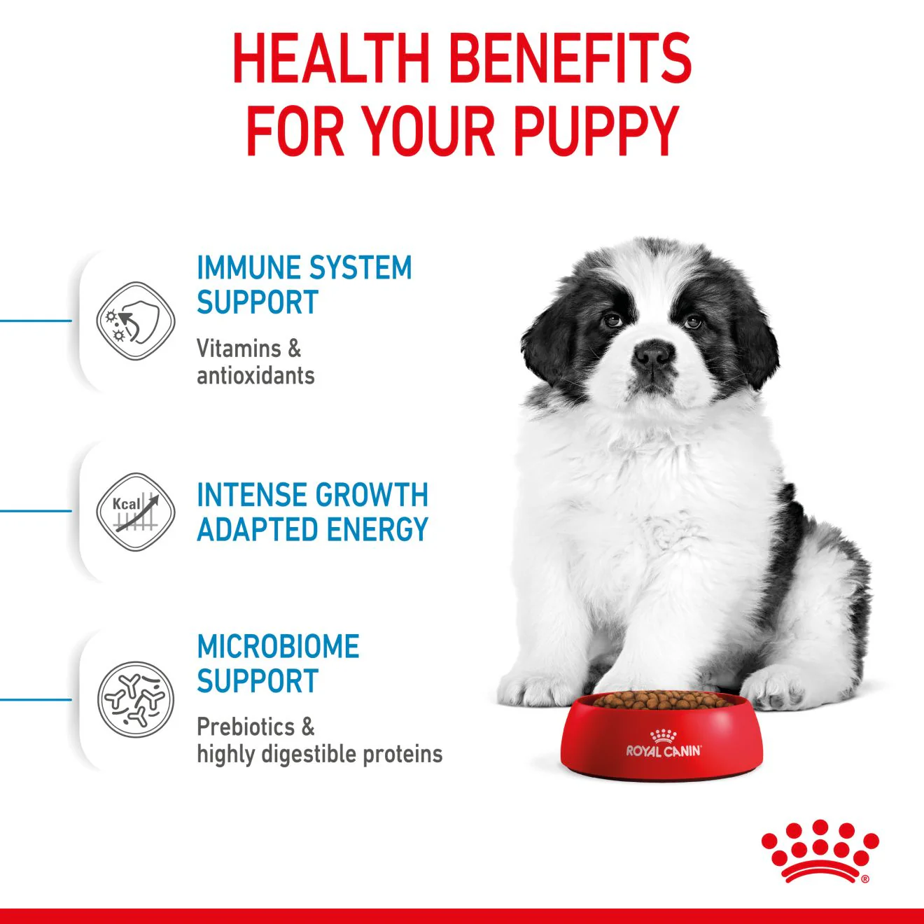 Royal Canin Giant Puppy Dry Dog Food - Image 4