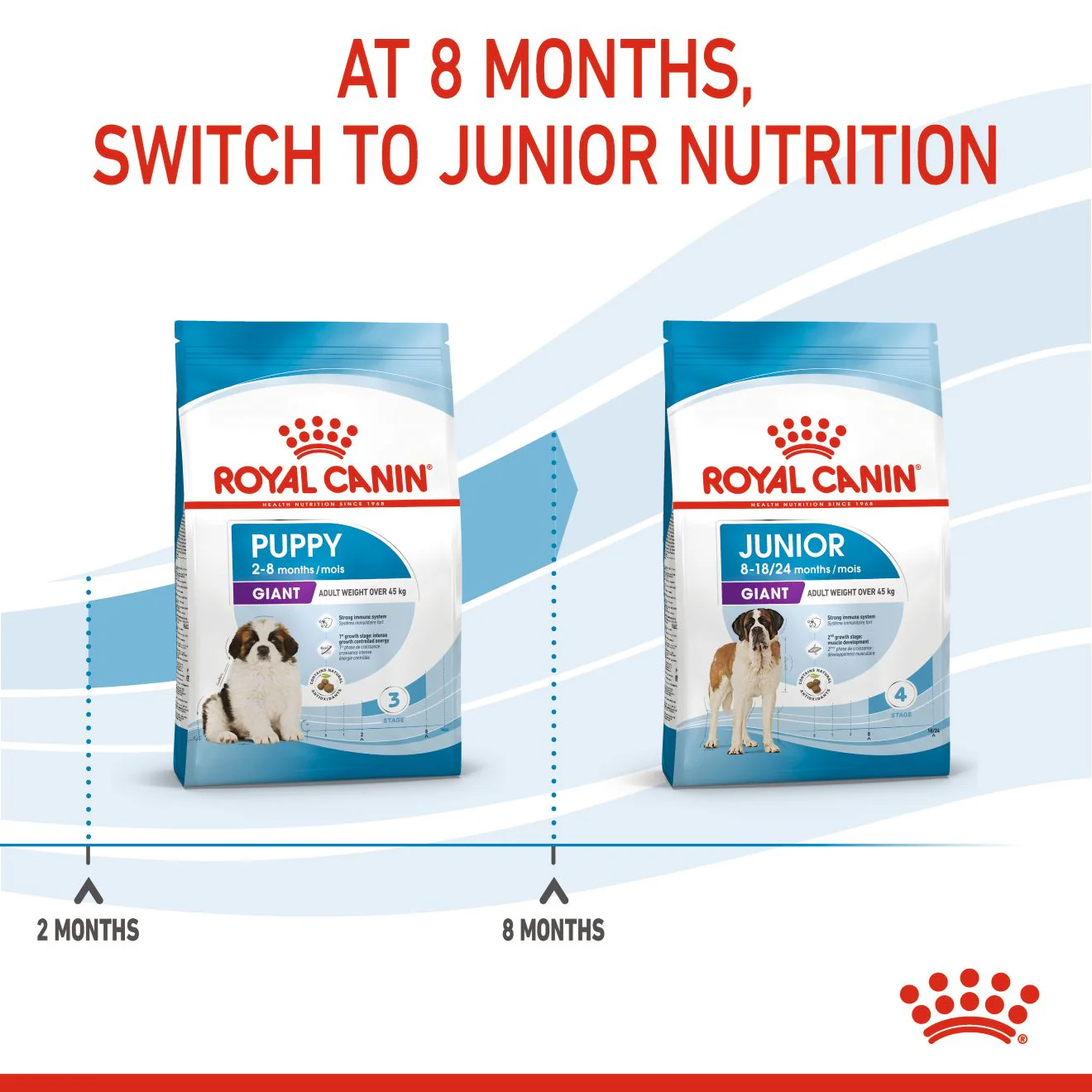 Royal Canin Giant Puppy Dry Dog Food - Image 5