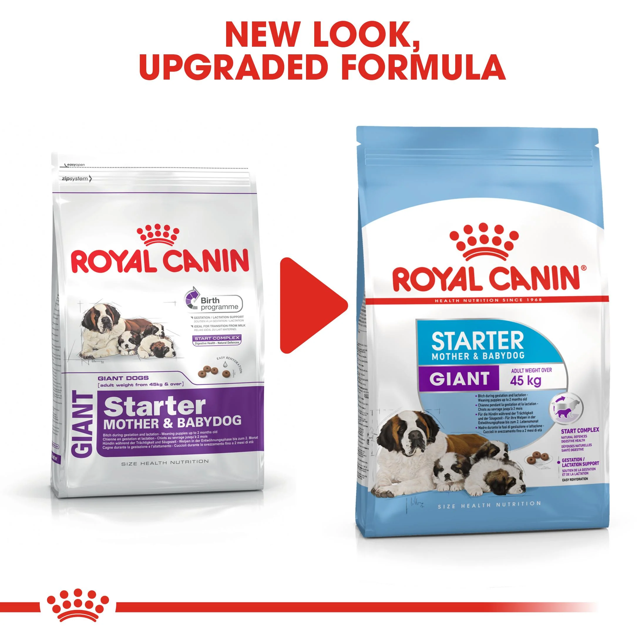 Royal Canin Giant Starter - Image 3