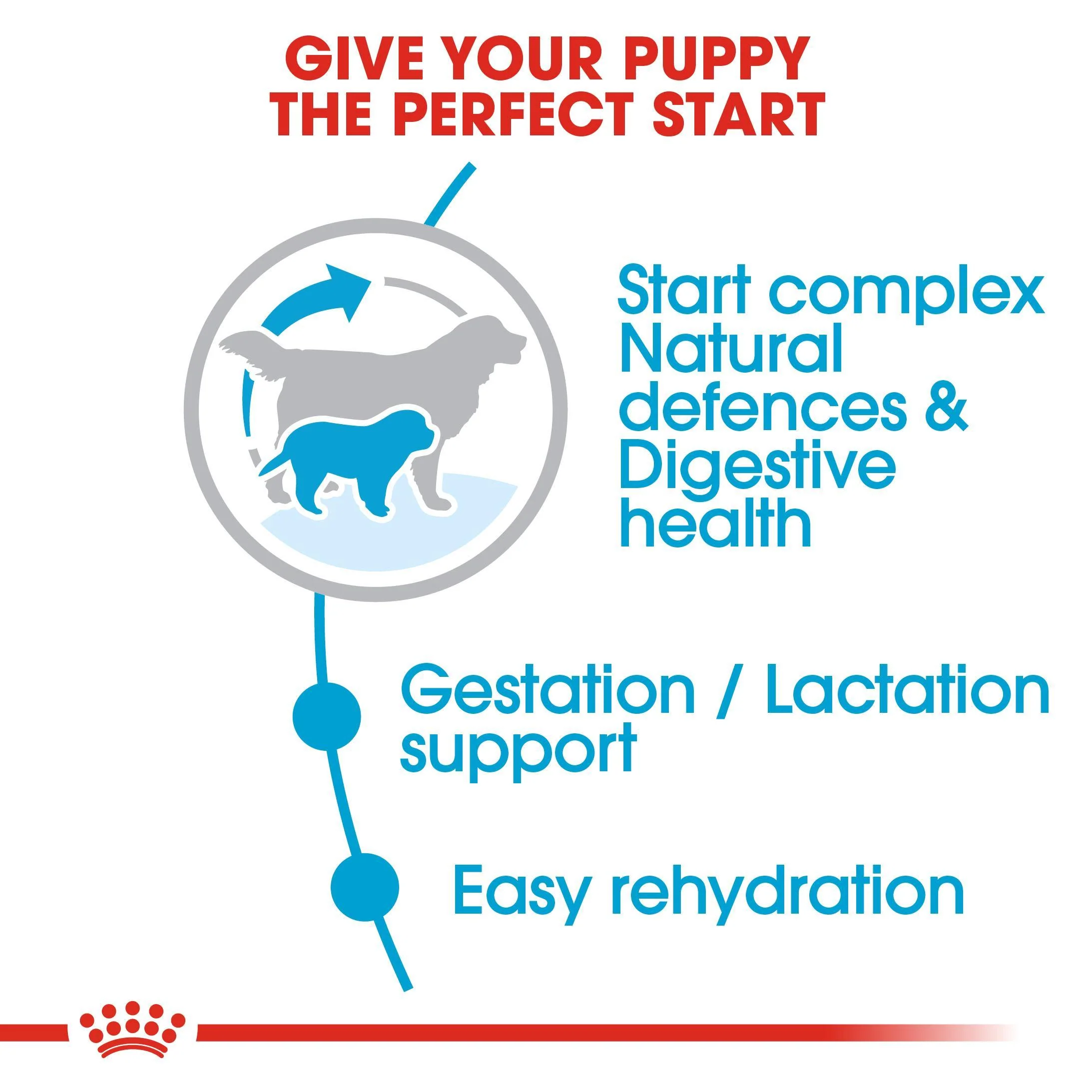 Royal Canin Giant Starter - Image 7