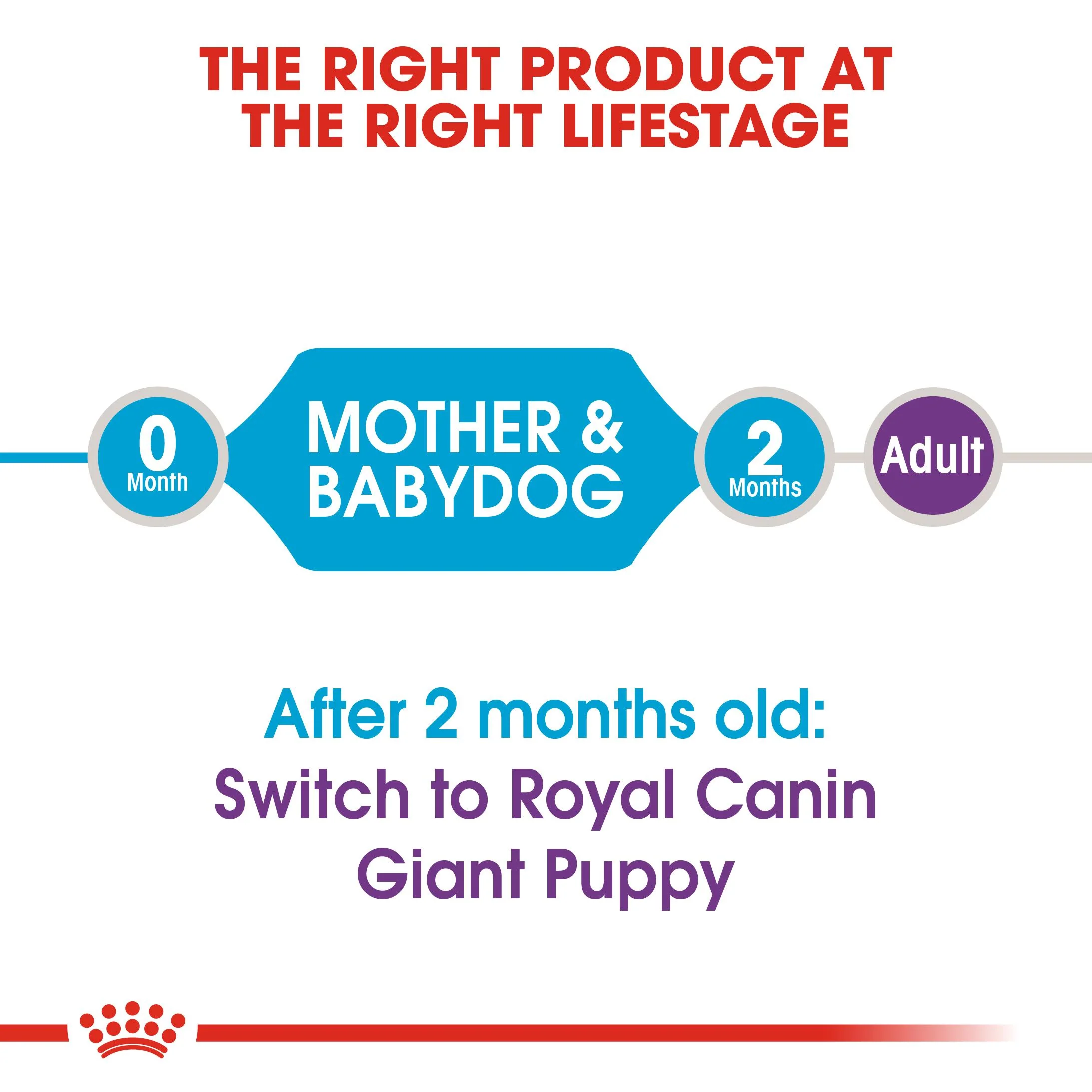 Royal Canin Giant Starter - Image 8