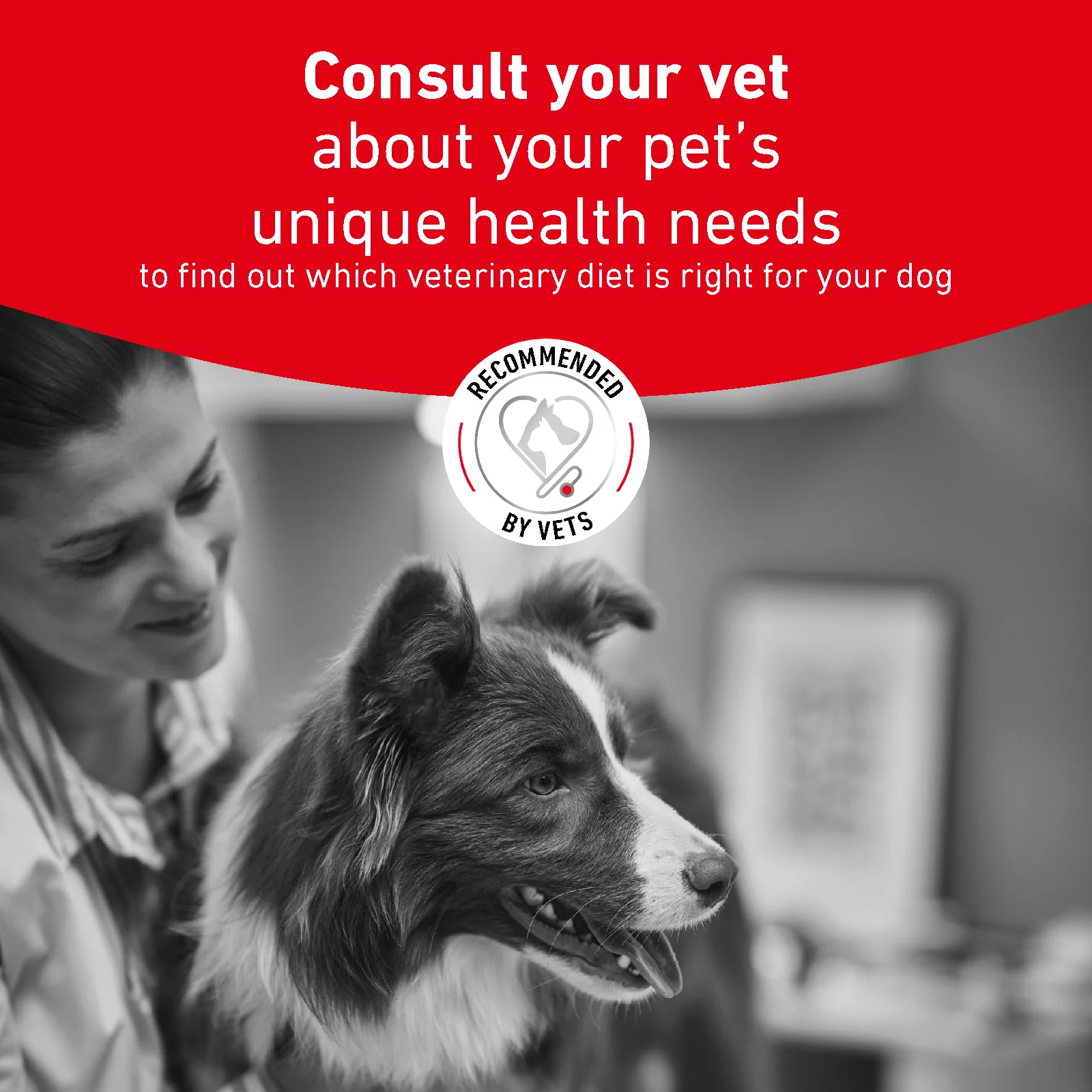 Royal Canin Glycobalance Adult Wet Dog Food - Image 3
