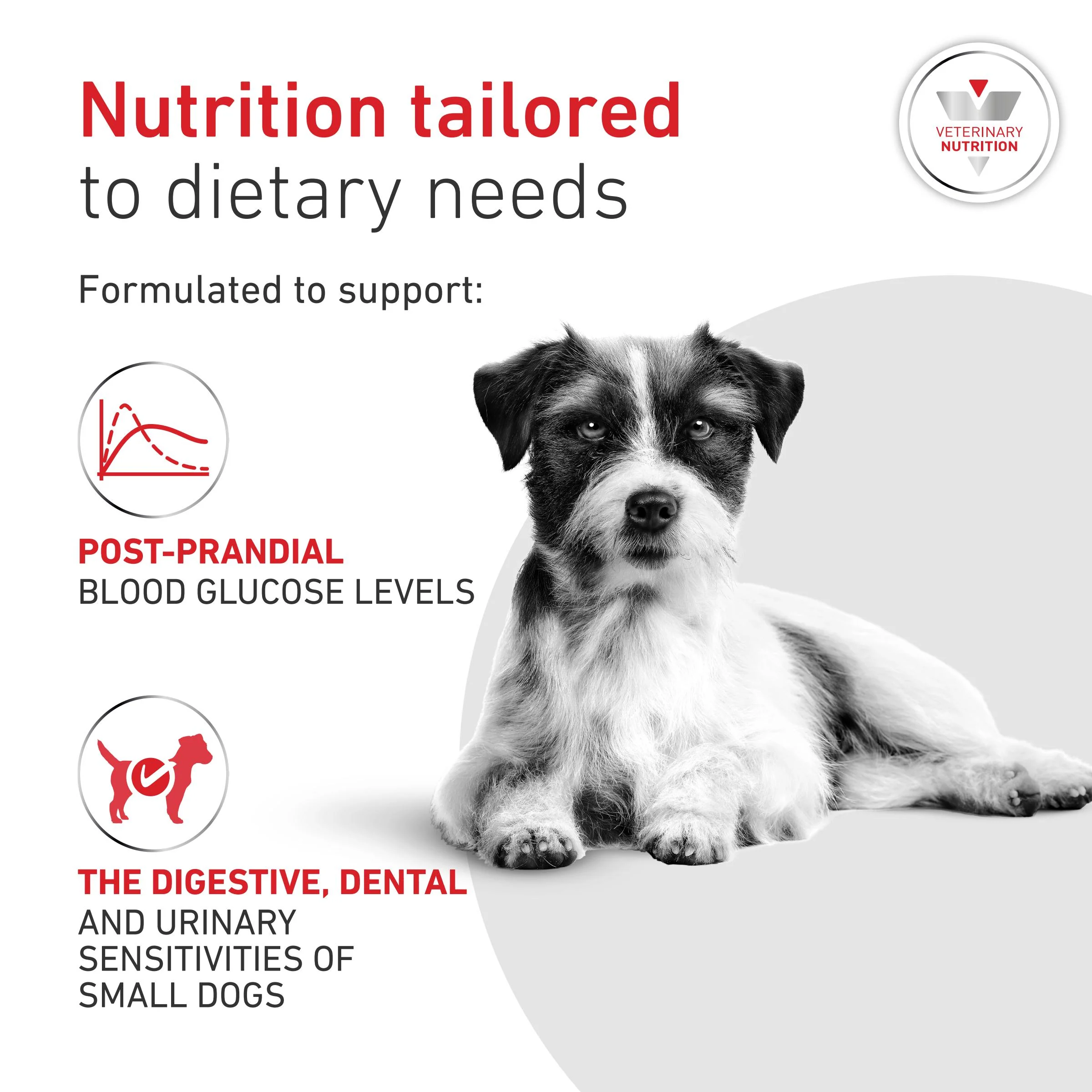 Royal Canin Glycobalance Small Dog Adult Dry Dog Food - Image 3