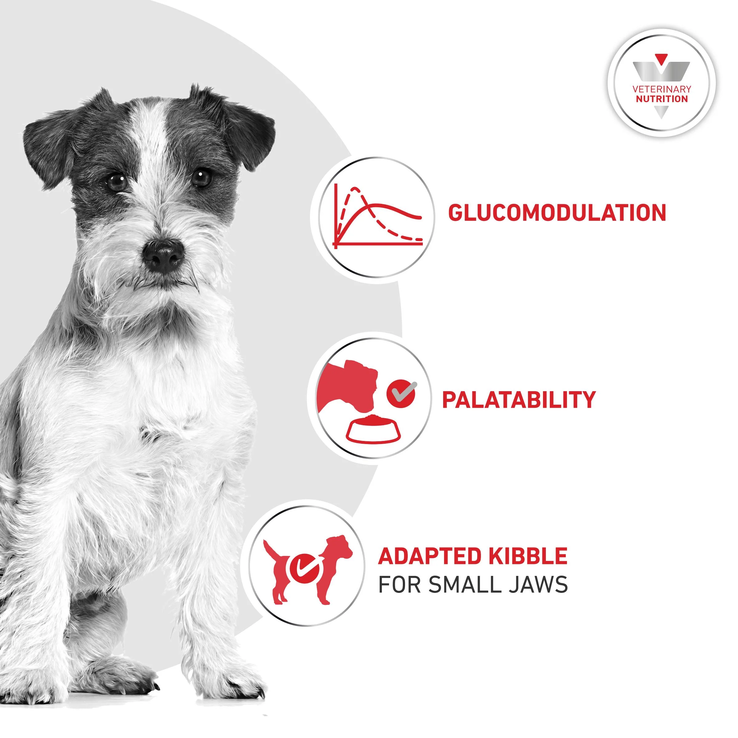 Royal Canin Glycobalance Small Dog Adult Dry Dog Food - Image 4