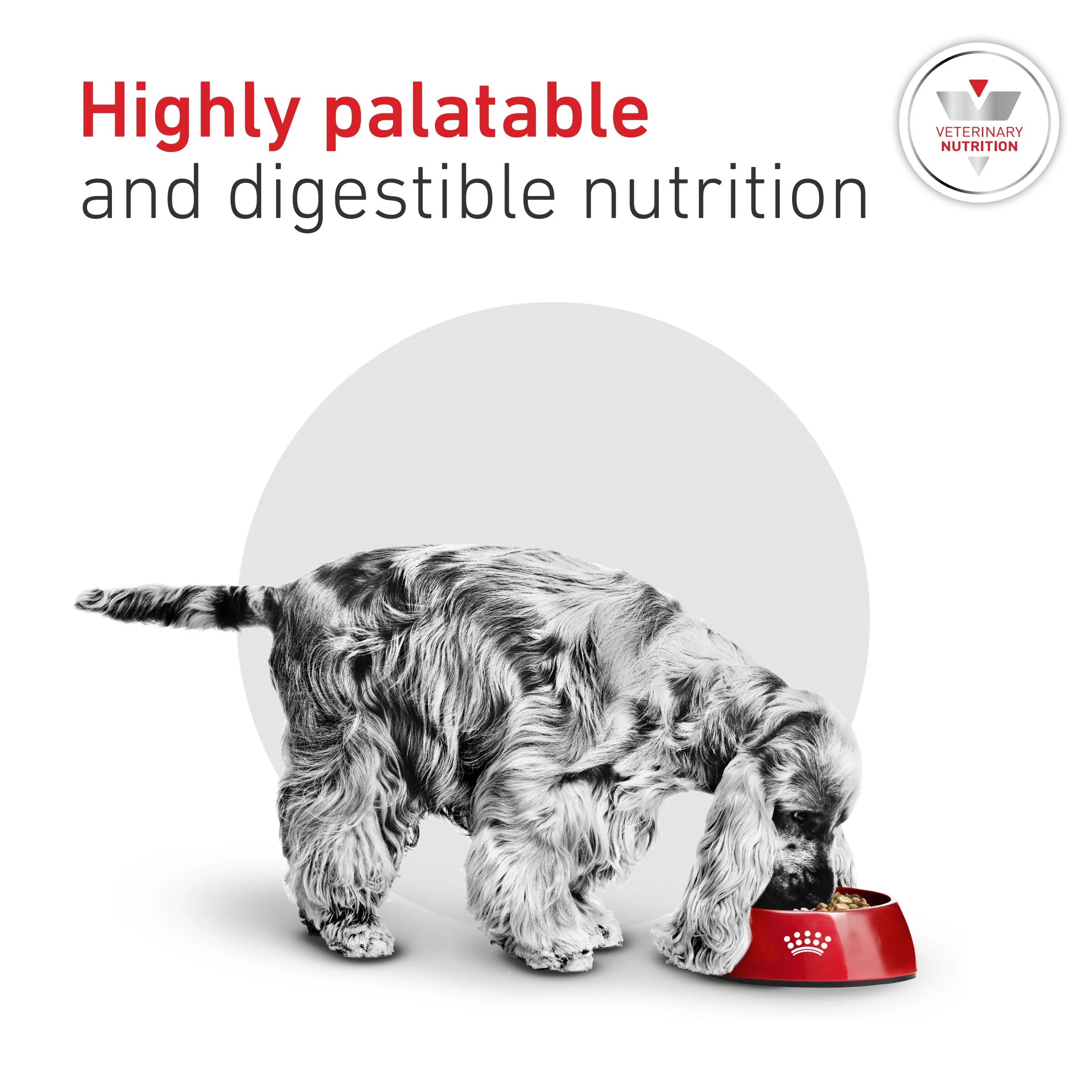 Royal Canin Glycobalance Small Dog Adult Dry Dog Food - Image 5