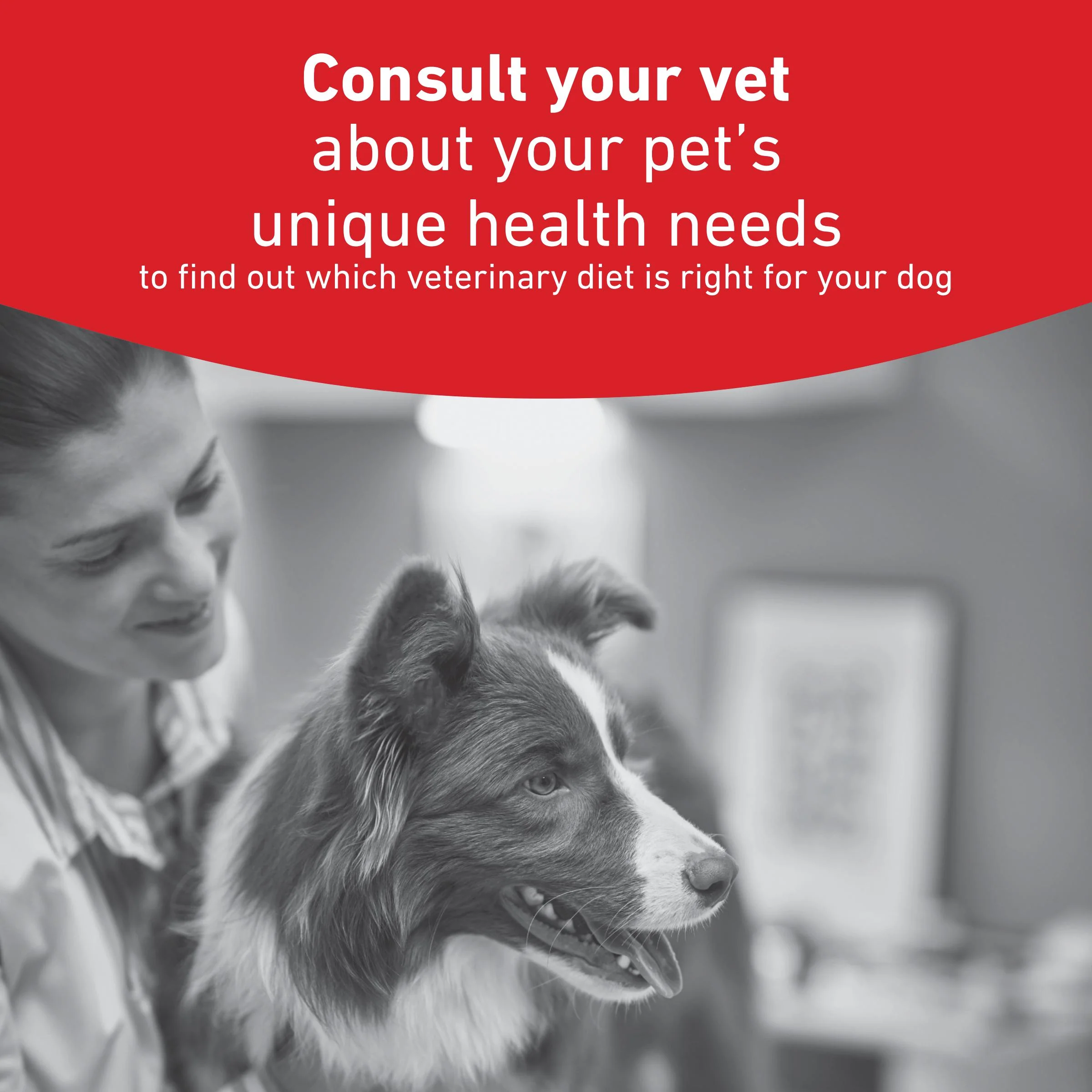 Royal Canin Glycobalance Small Dog Adult Dry Dog Food - Image 9