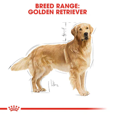 Royal Canin Golden Retriever Adult Dry Dog Food - Image 7