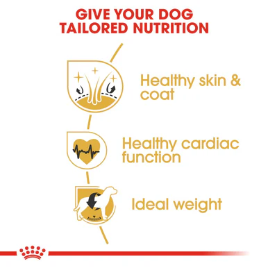 Royal Canin Golden Retriever Adult Dry Dog Food - Image 8