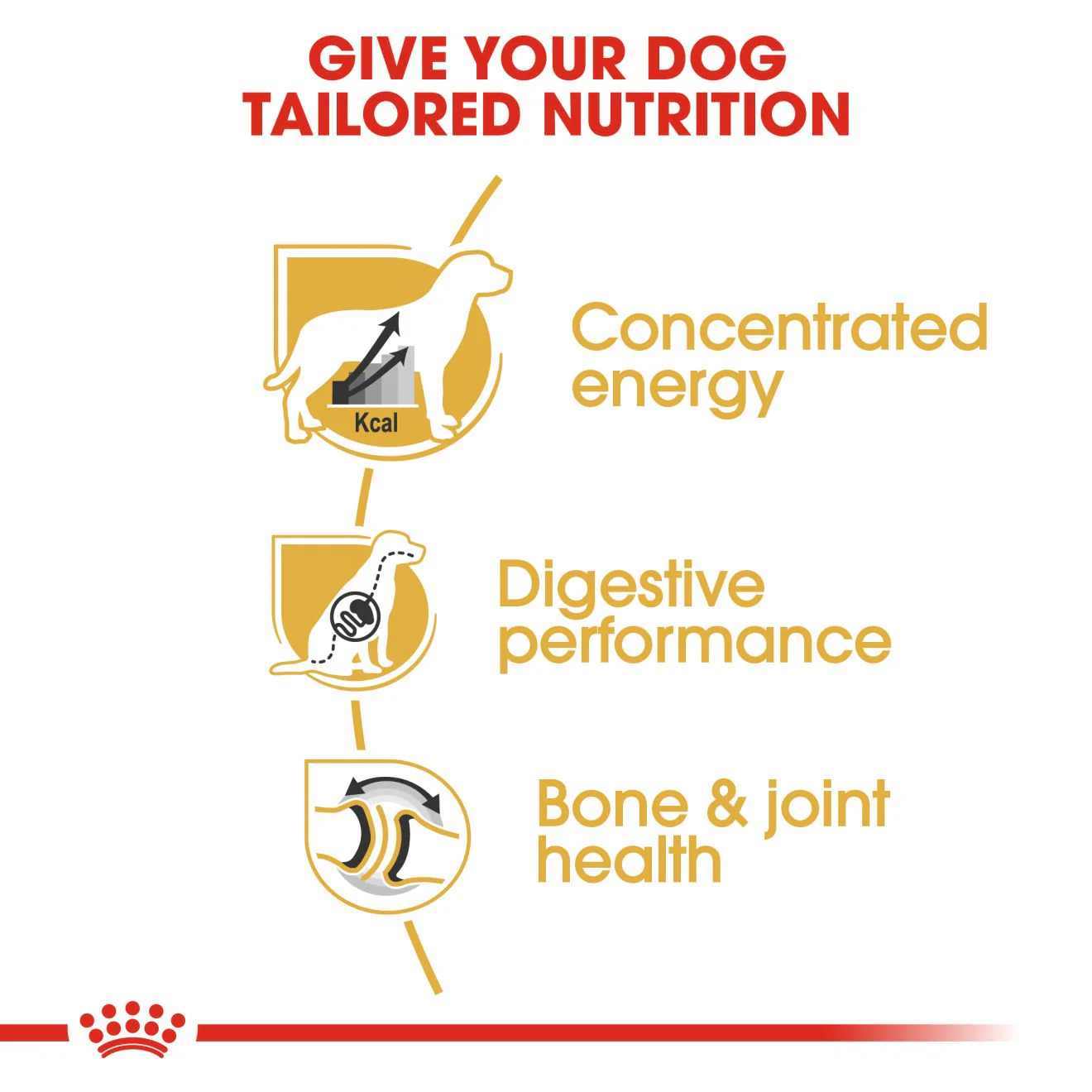 Royal Canin Great Dane Adult Dry Dog Food - 12kg - Image 5