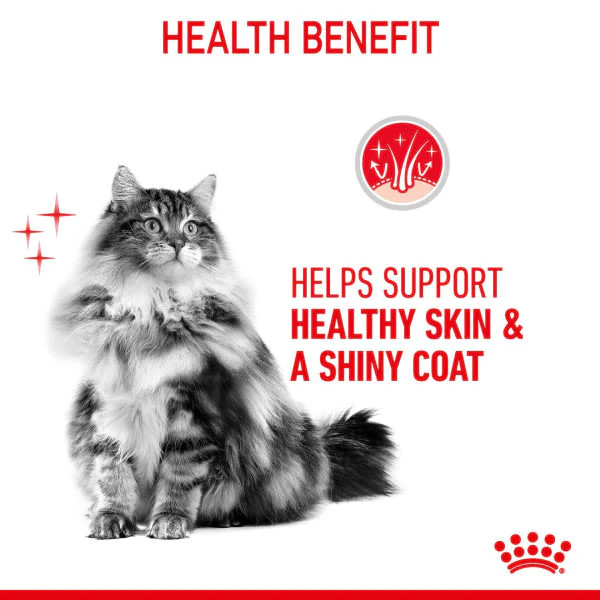 Royal Canin Hair & Skin Care 33 Adult Dry Cat Food - Image 5