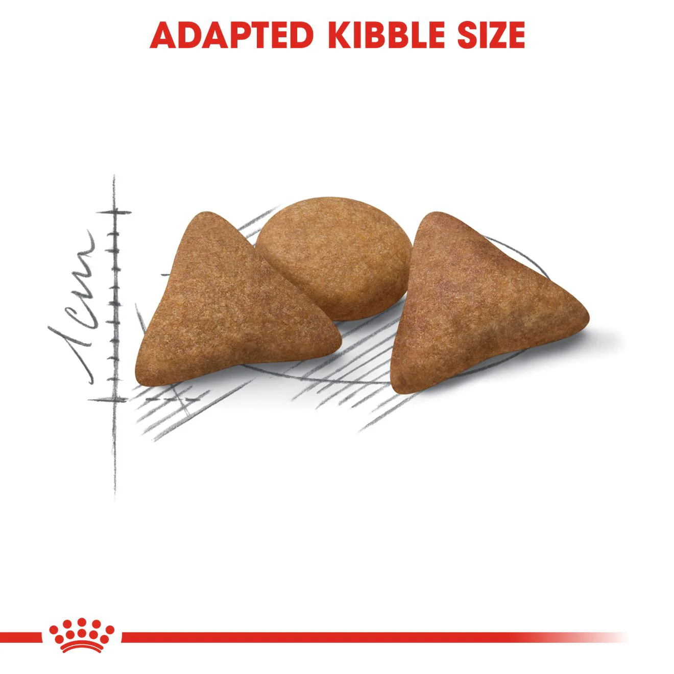 Royal Canin Health Indoor Appetite Control Adult Dry Cat Food - Image 4