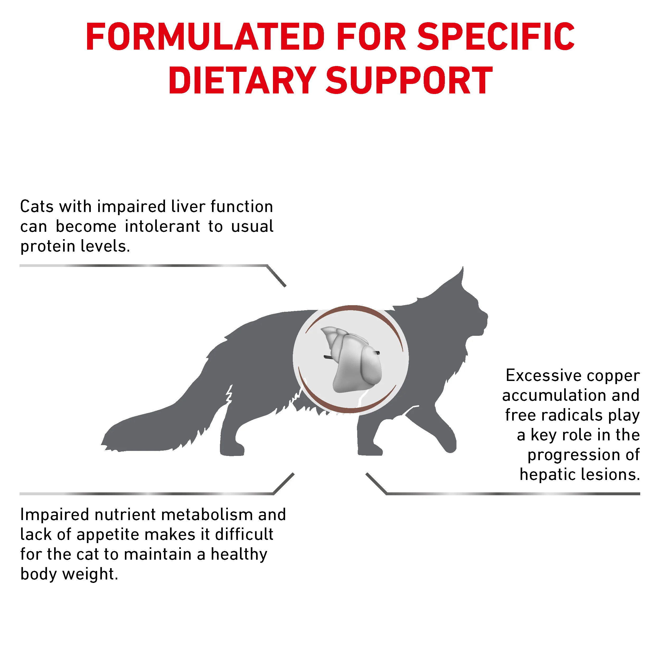 Royal Canin Hepatic Adult Dry Cat Food - Image 2